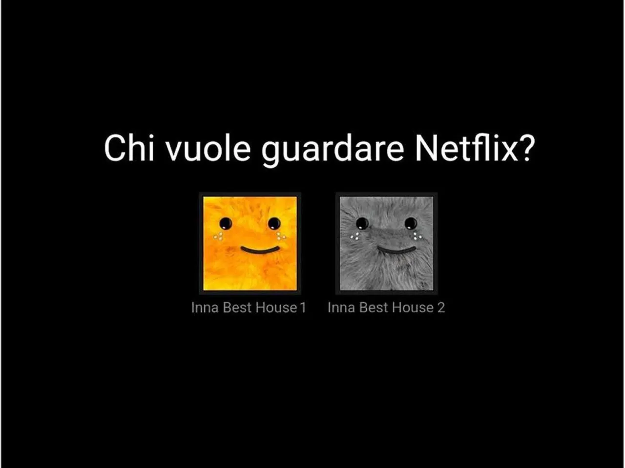 TV and multimedia in Inna Best House