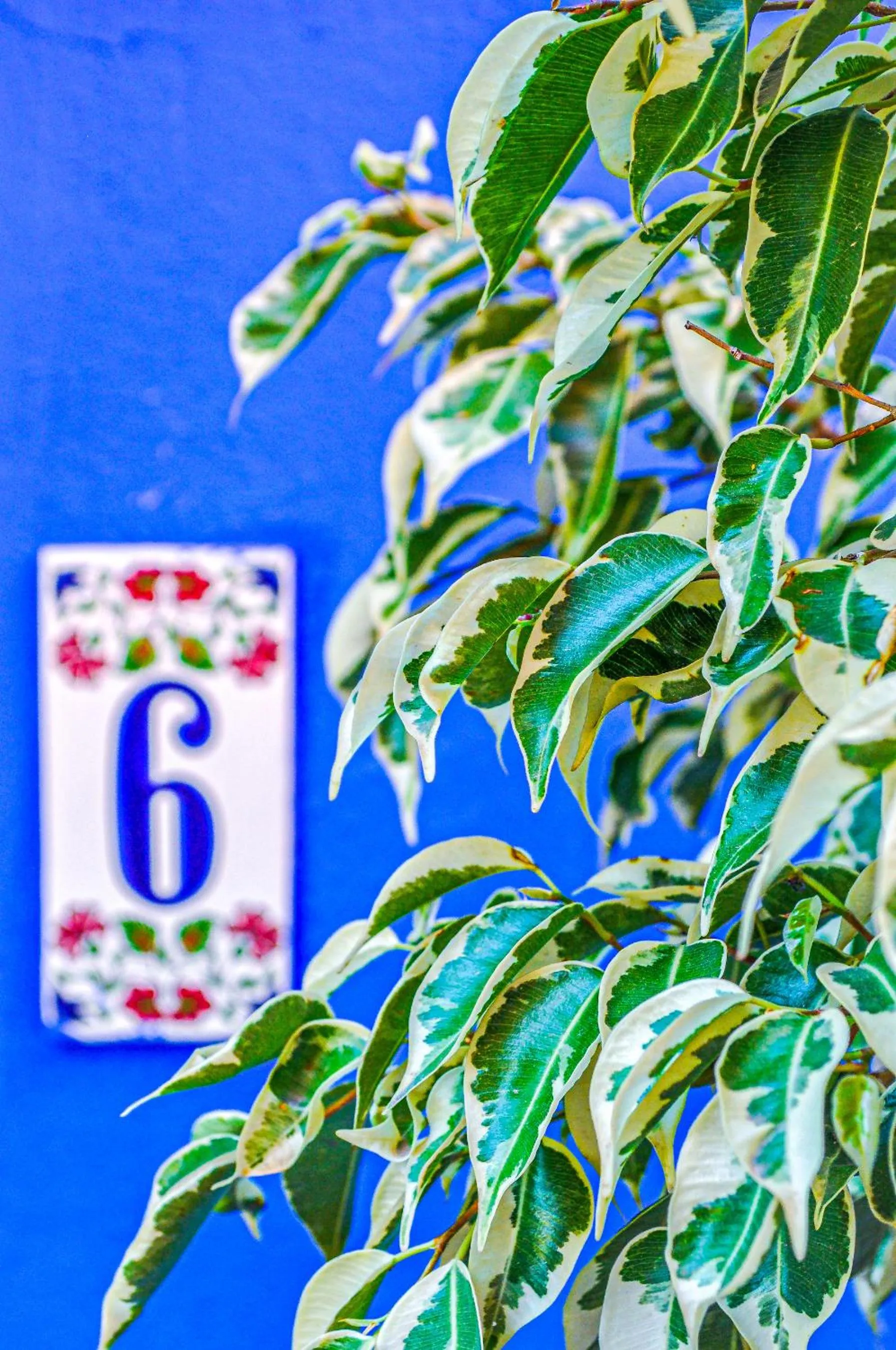 Property logo or sign in Symi Garden Studios