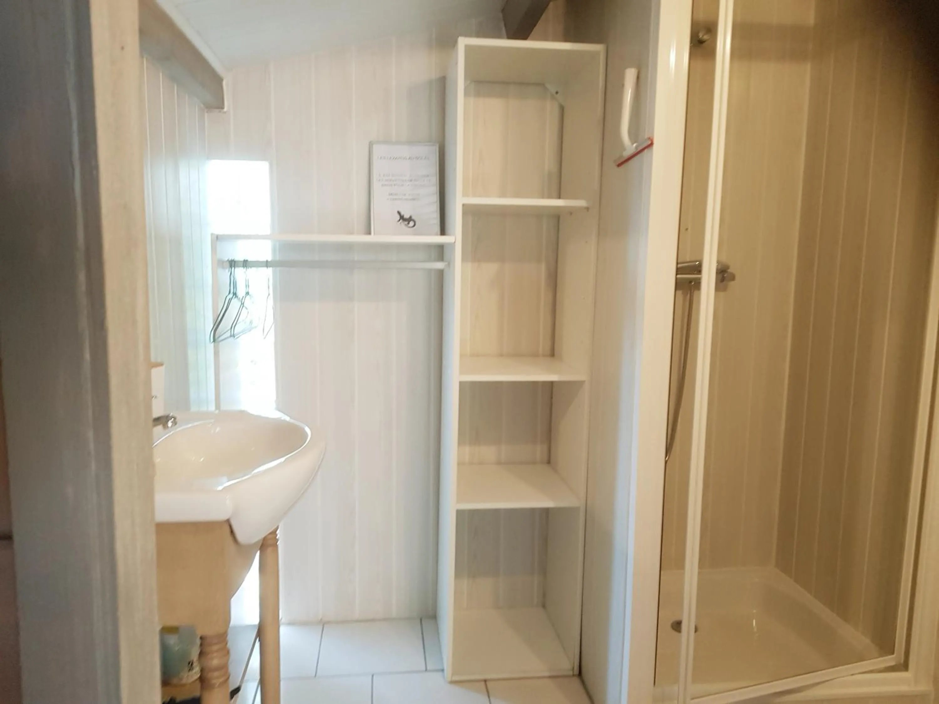 Les Lézards 2 au Soleil Draguignan