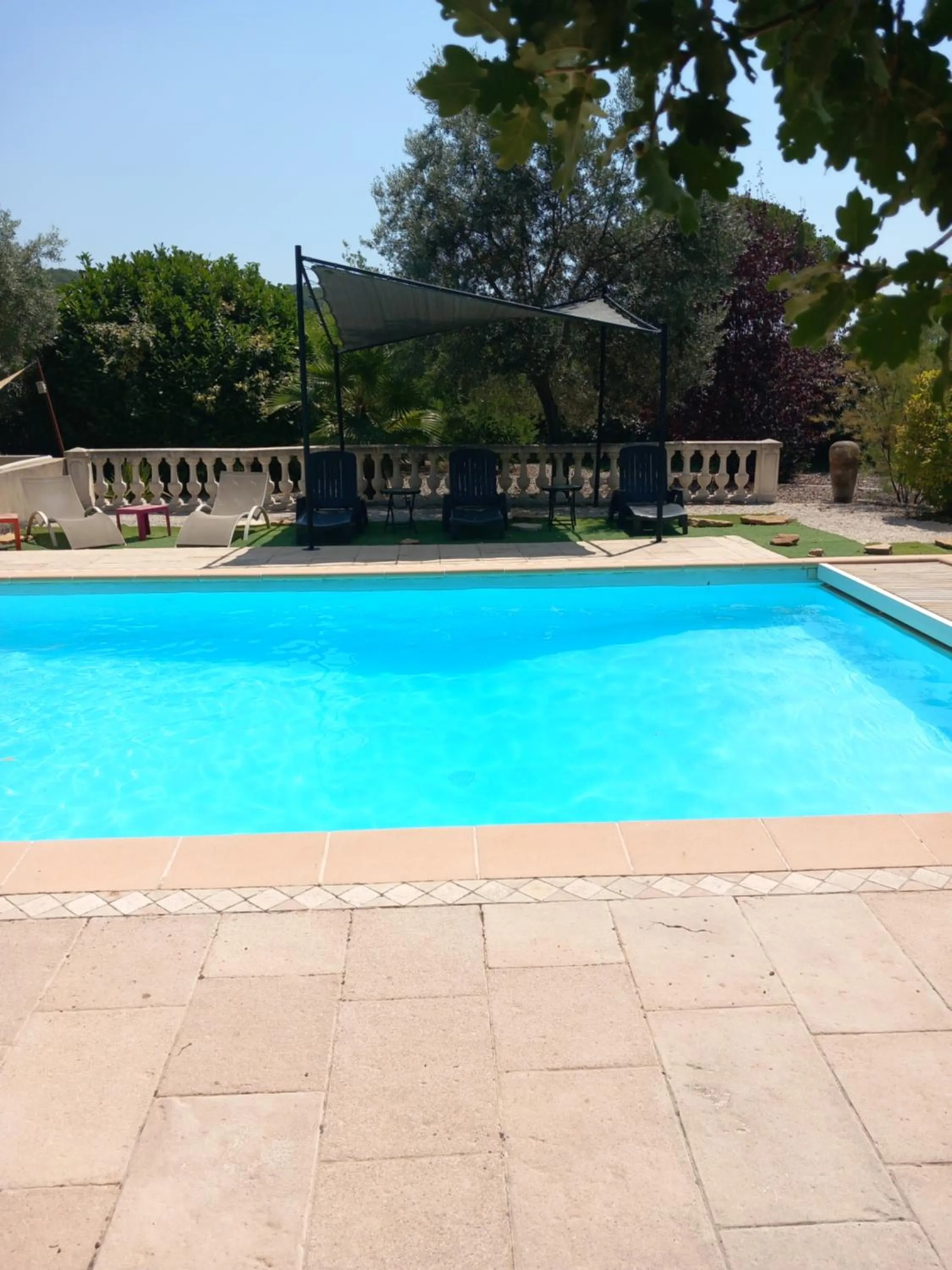 Les Lézards 2 au Soleil Draguignan