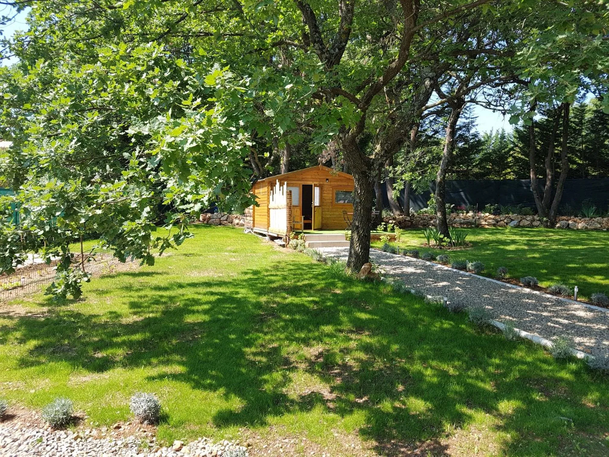 Les Lézards 2 au Soleil Draguignan