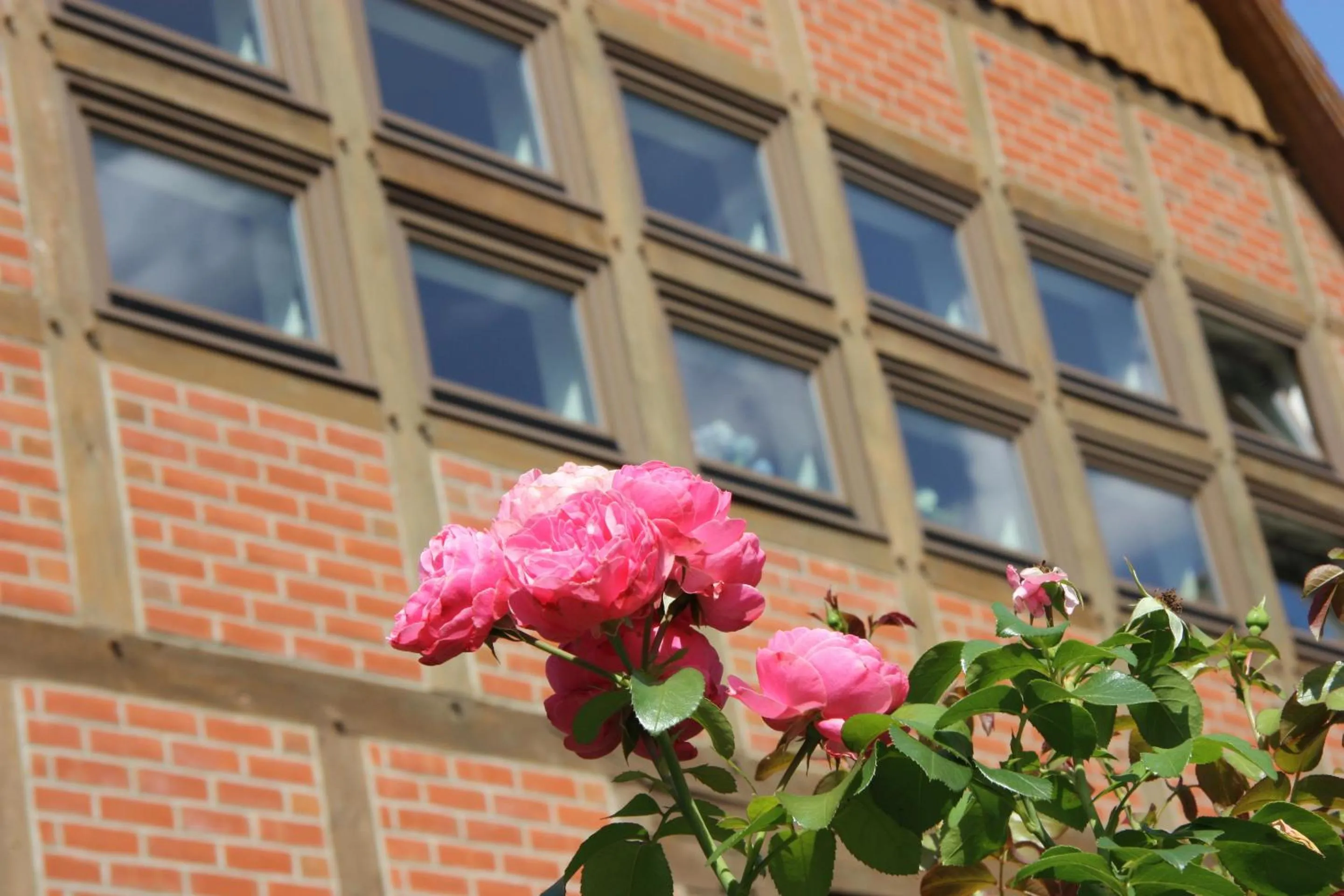 Property building in Plater Hermann