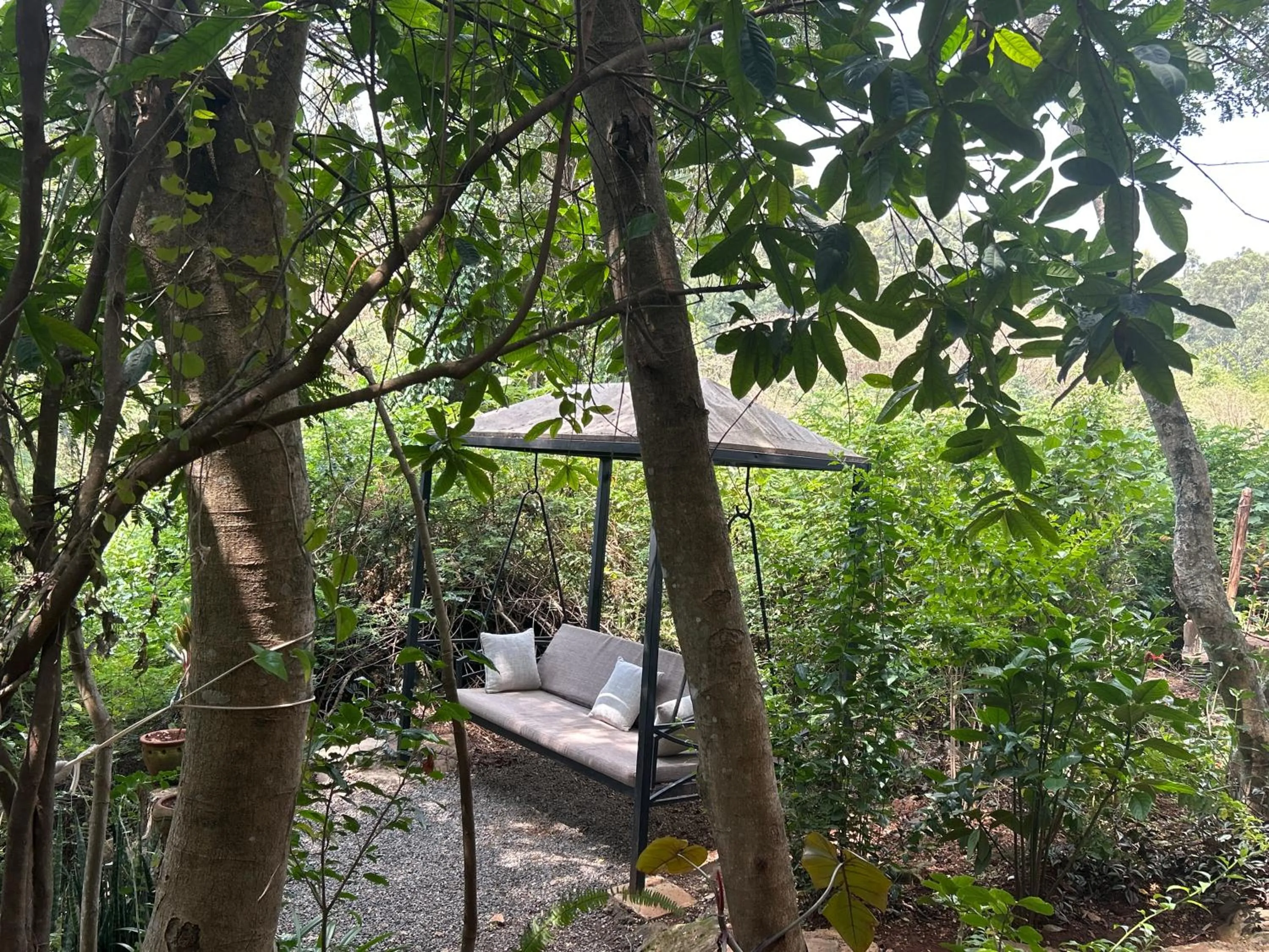 Natural landscape in Villa Rock Stop Falls Gigiri