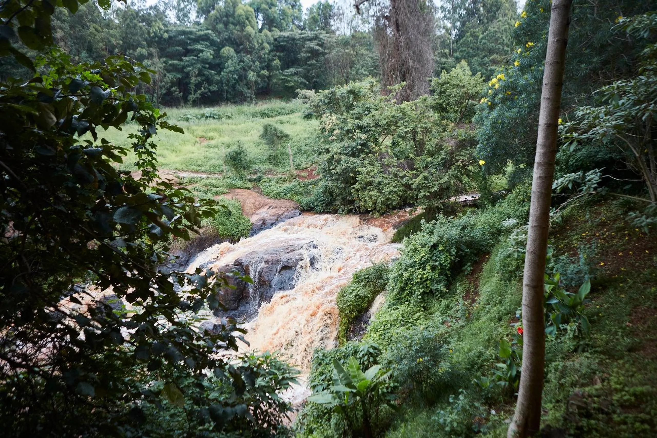 Garden in Villa Rock Stop Falls Gigiri