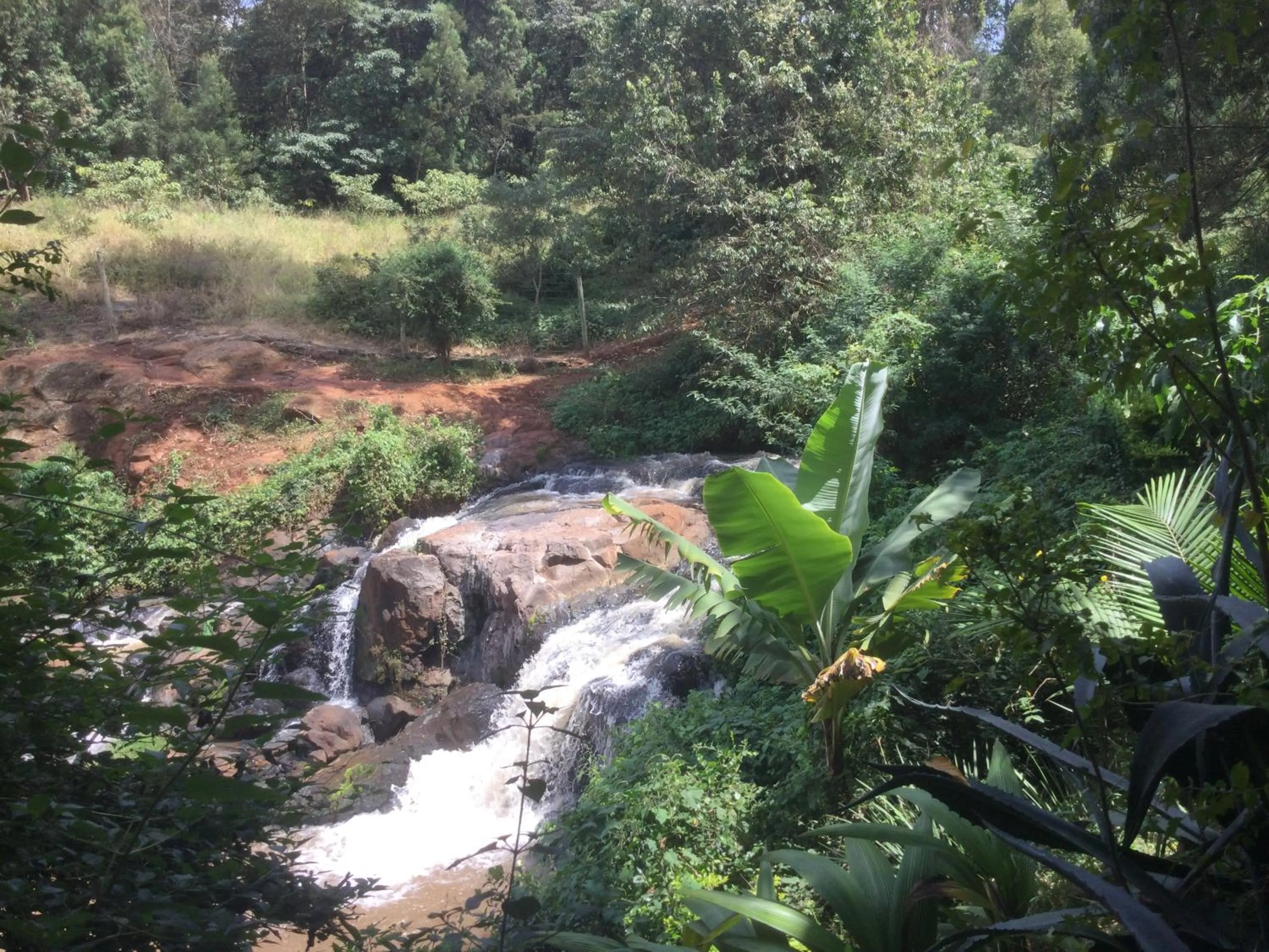 Natural landscape in Villa Rock Stop Falls Gigiri