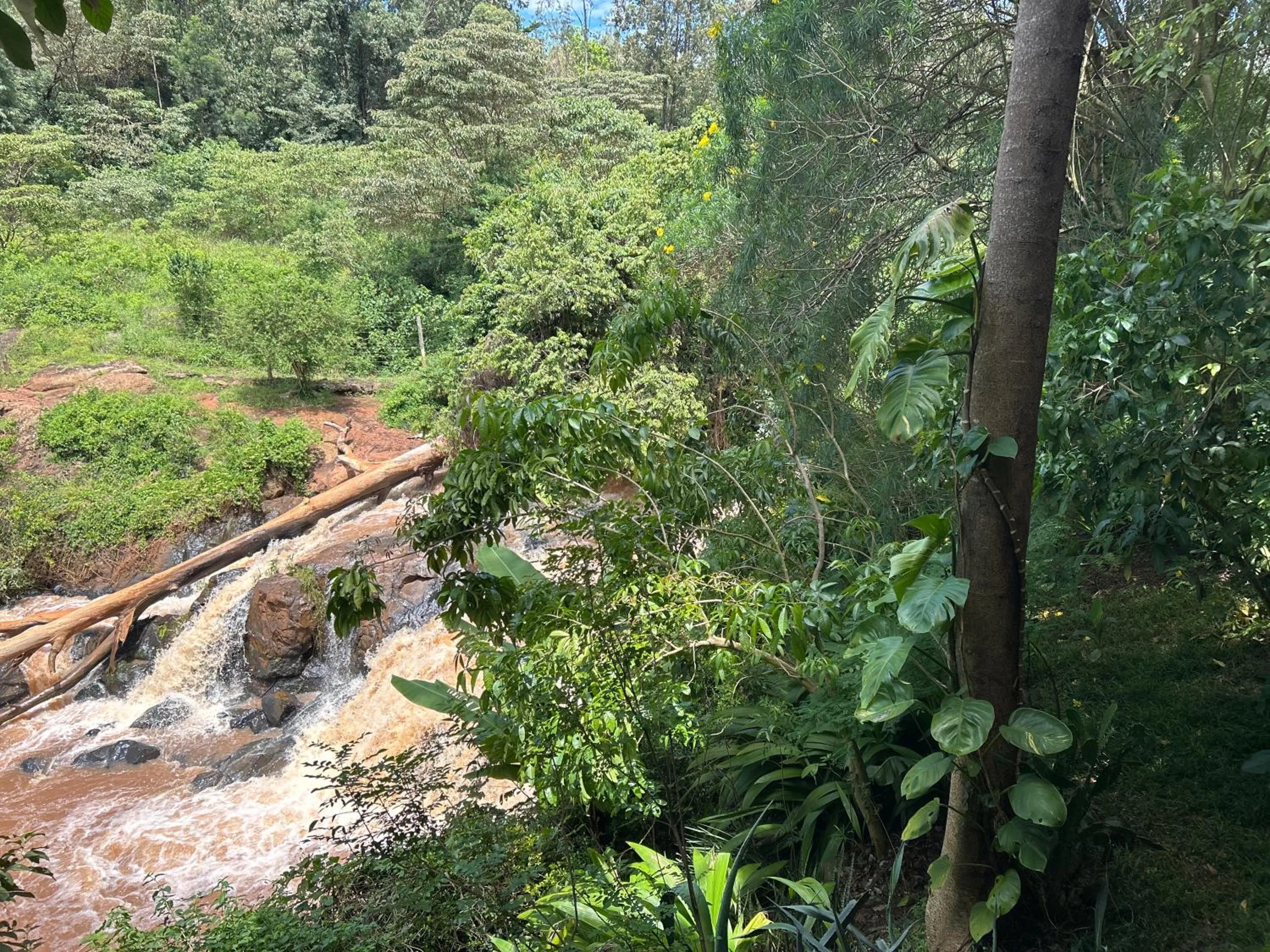 View (from property/room) in Villa Rock Stop Falls Gigiri