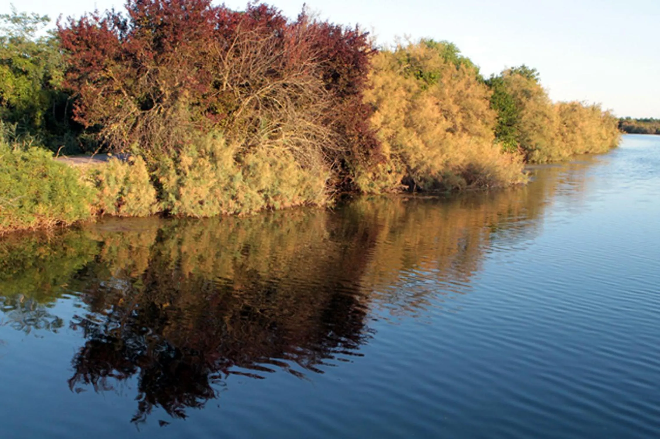 Natural landscape in b&b Bigolin Cristina