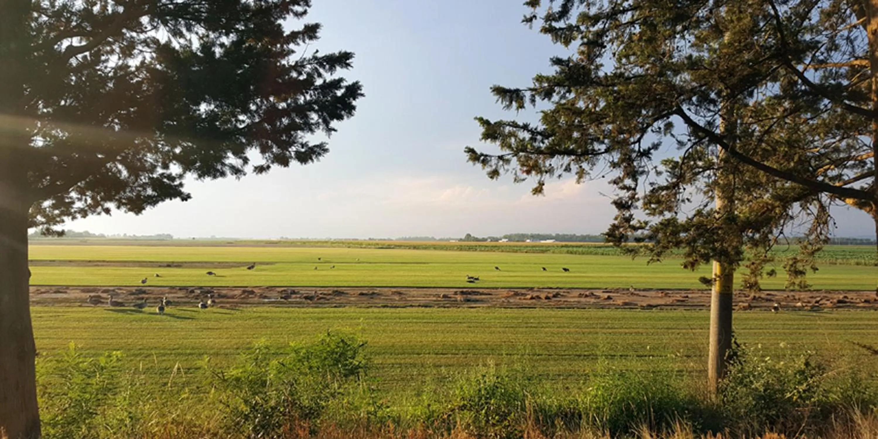 Animals in b&b Bigolin Cristina