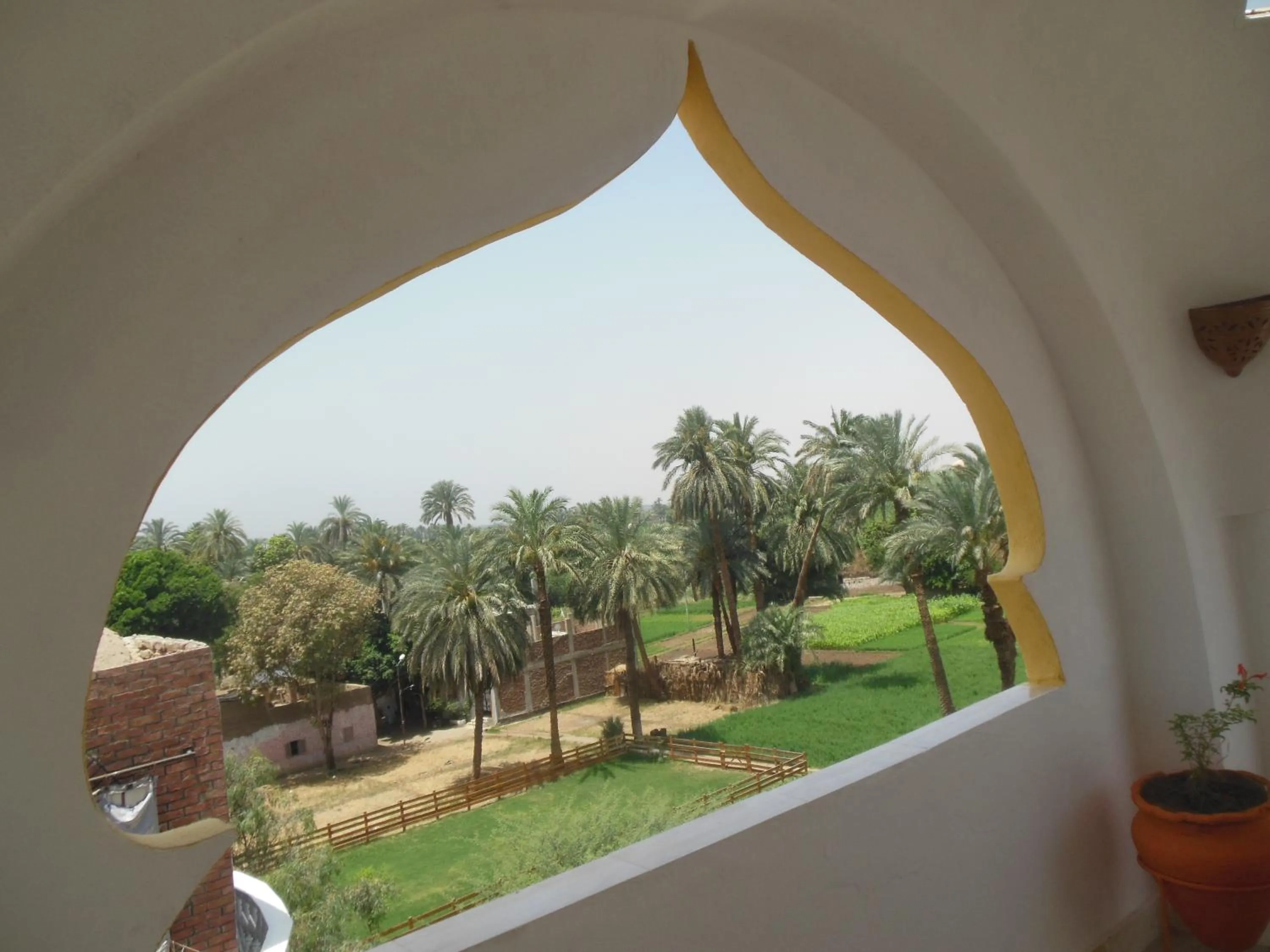 Balcony/Terrace in Cleopatra Hotel Luxor