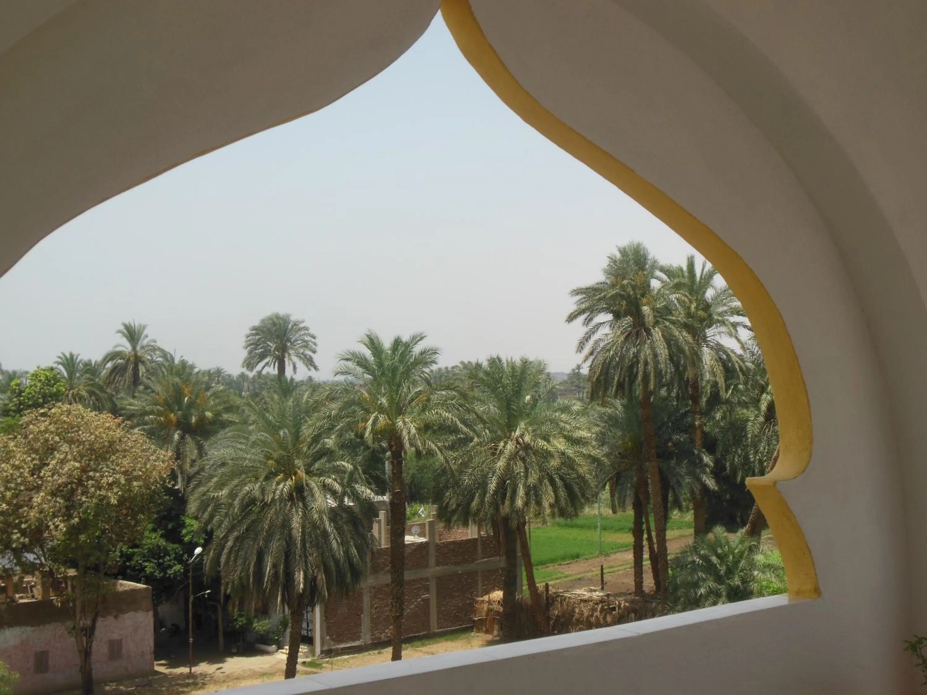 Garden in Cleopatra Hotel Luxor