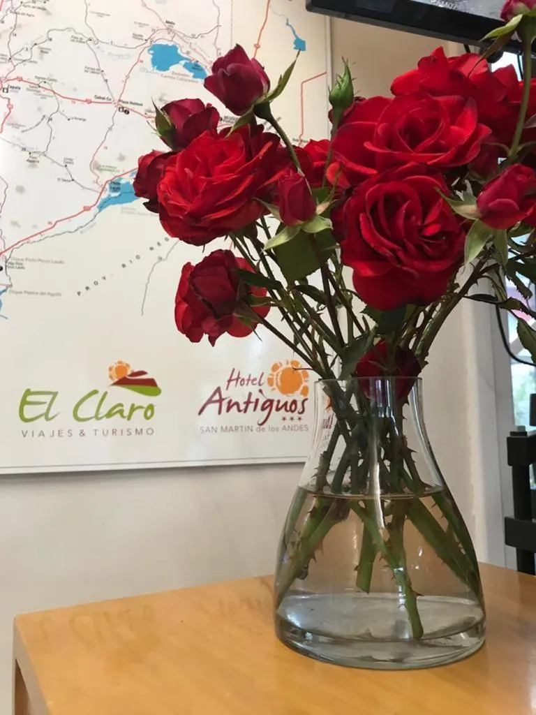 Lobby or reception in Hotel Antiguos