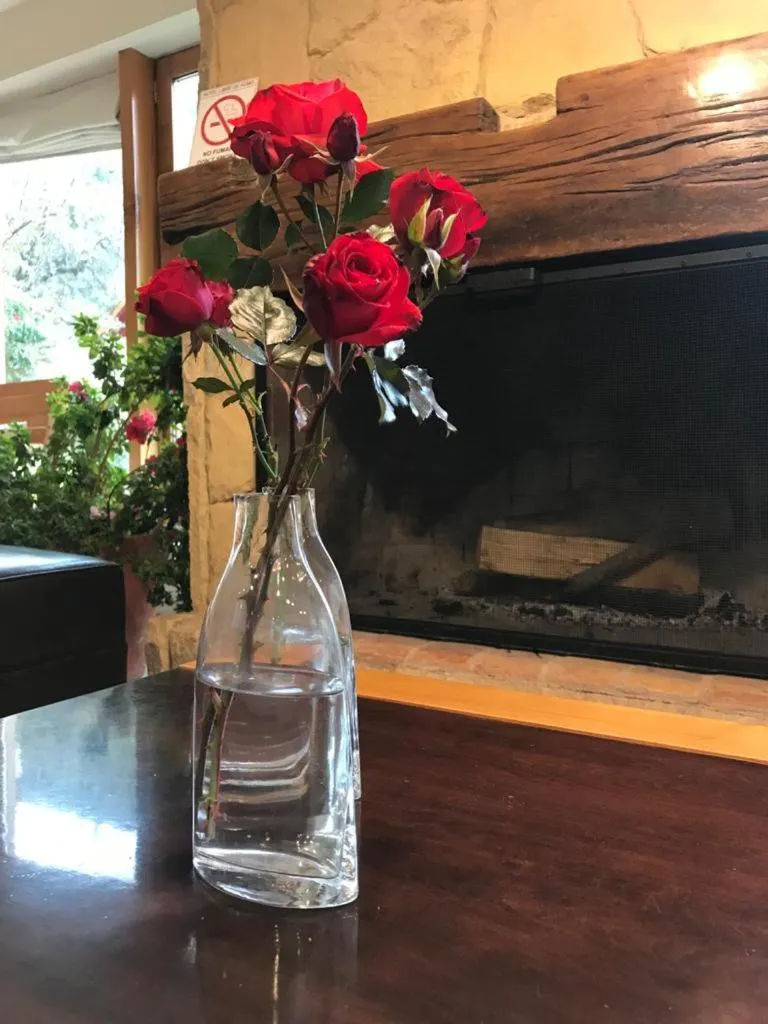 Living room in Hotel Antiguos