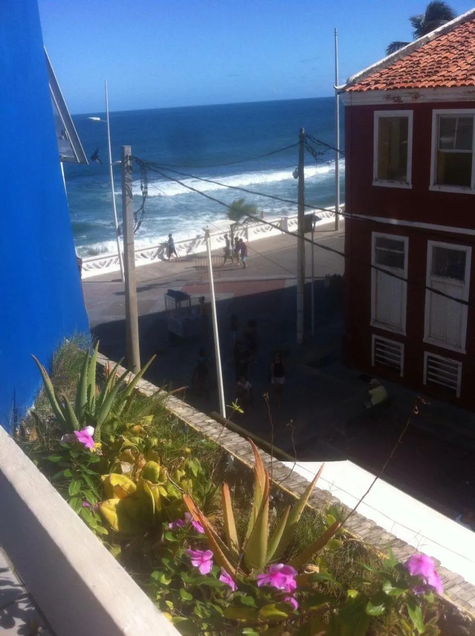 Natural landscape in Bahia Flat