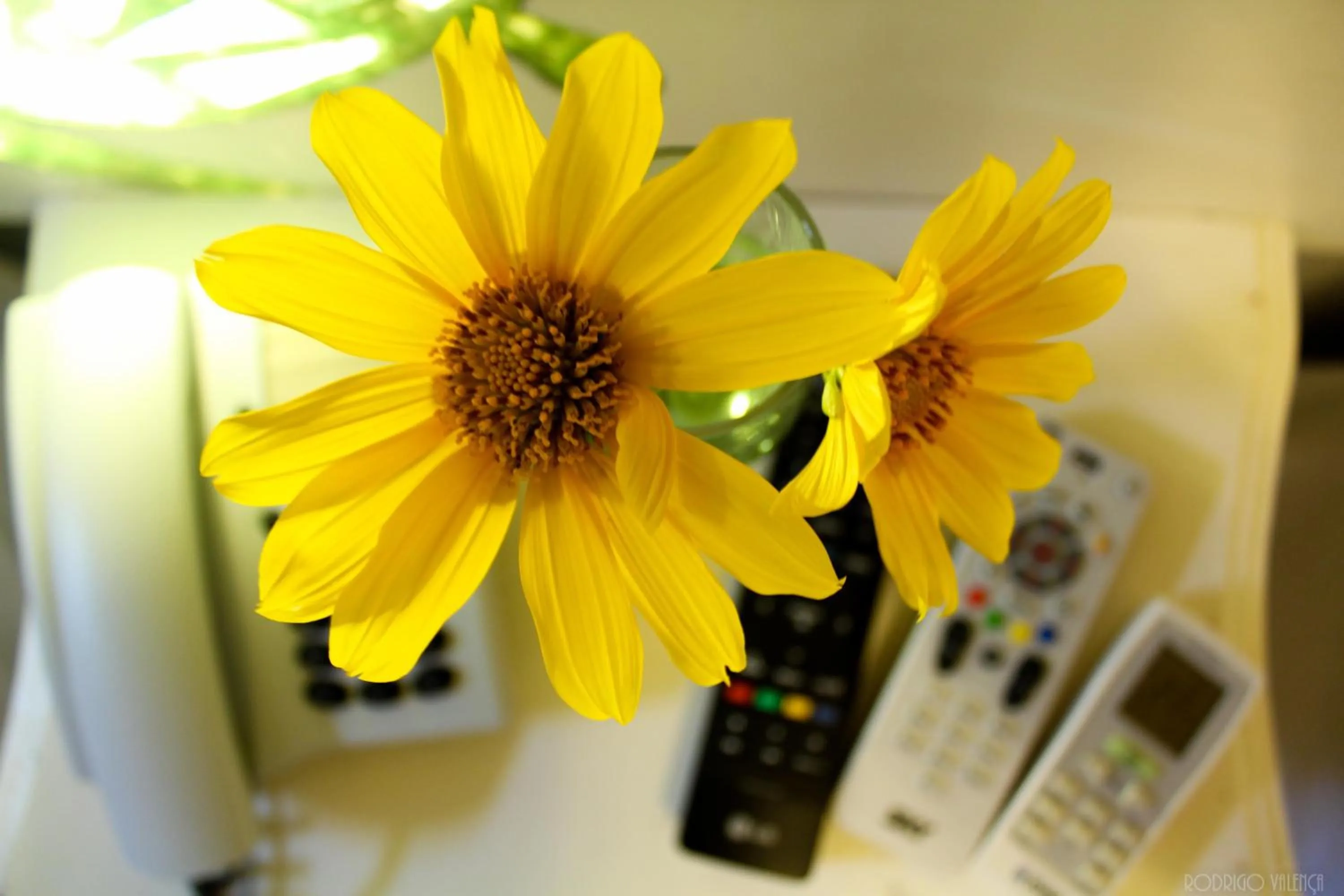 Decorative detail in Pousada Alamoa