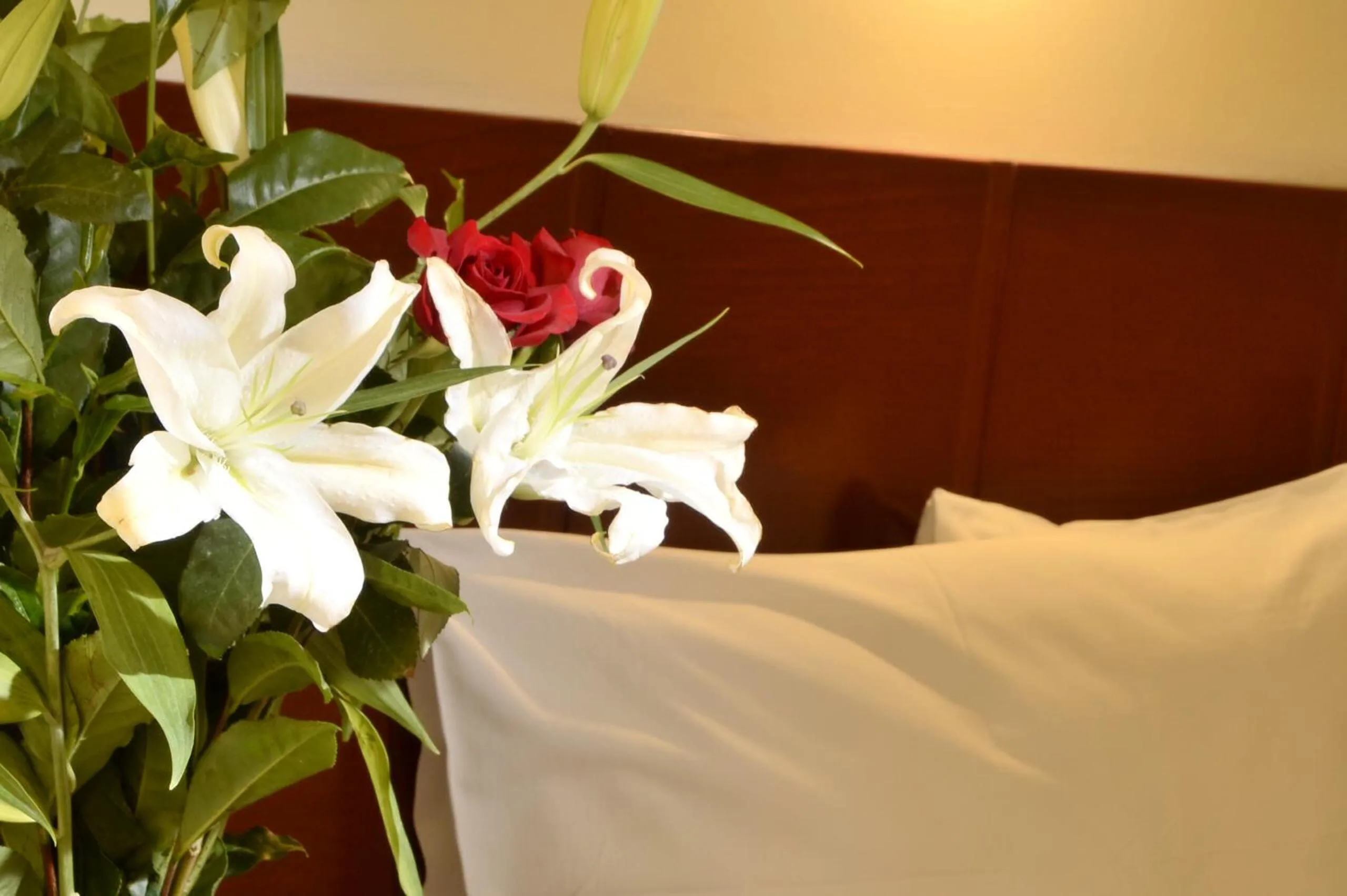 Decorative detail, Bed in Golden Inca Hotel