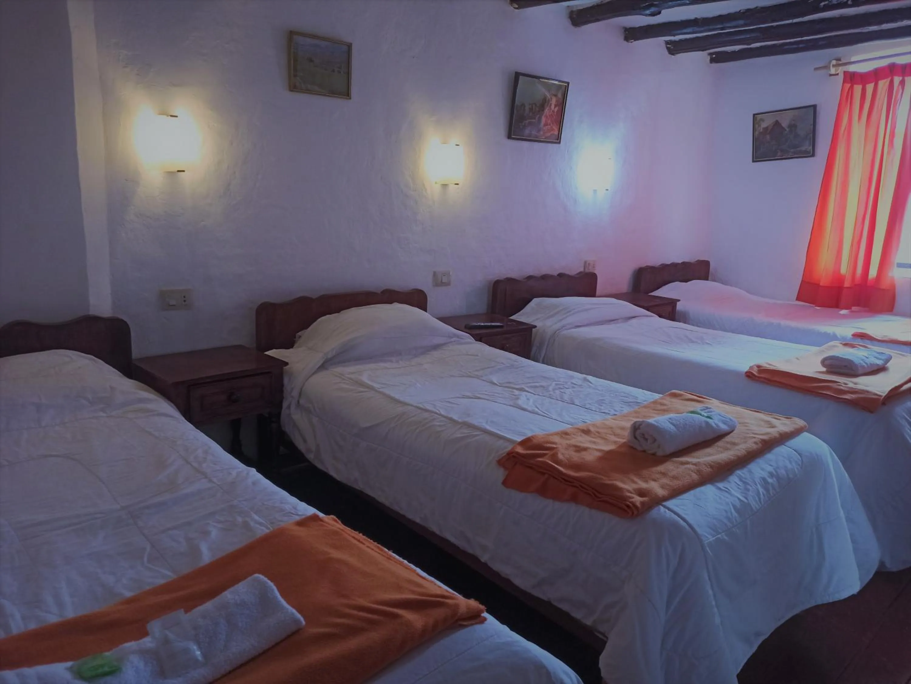 Bed in Hostal Tu Hogar