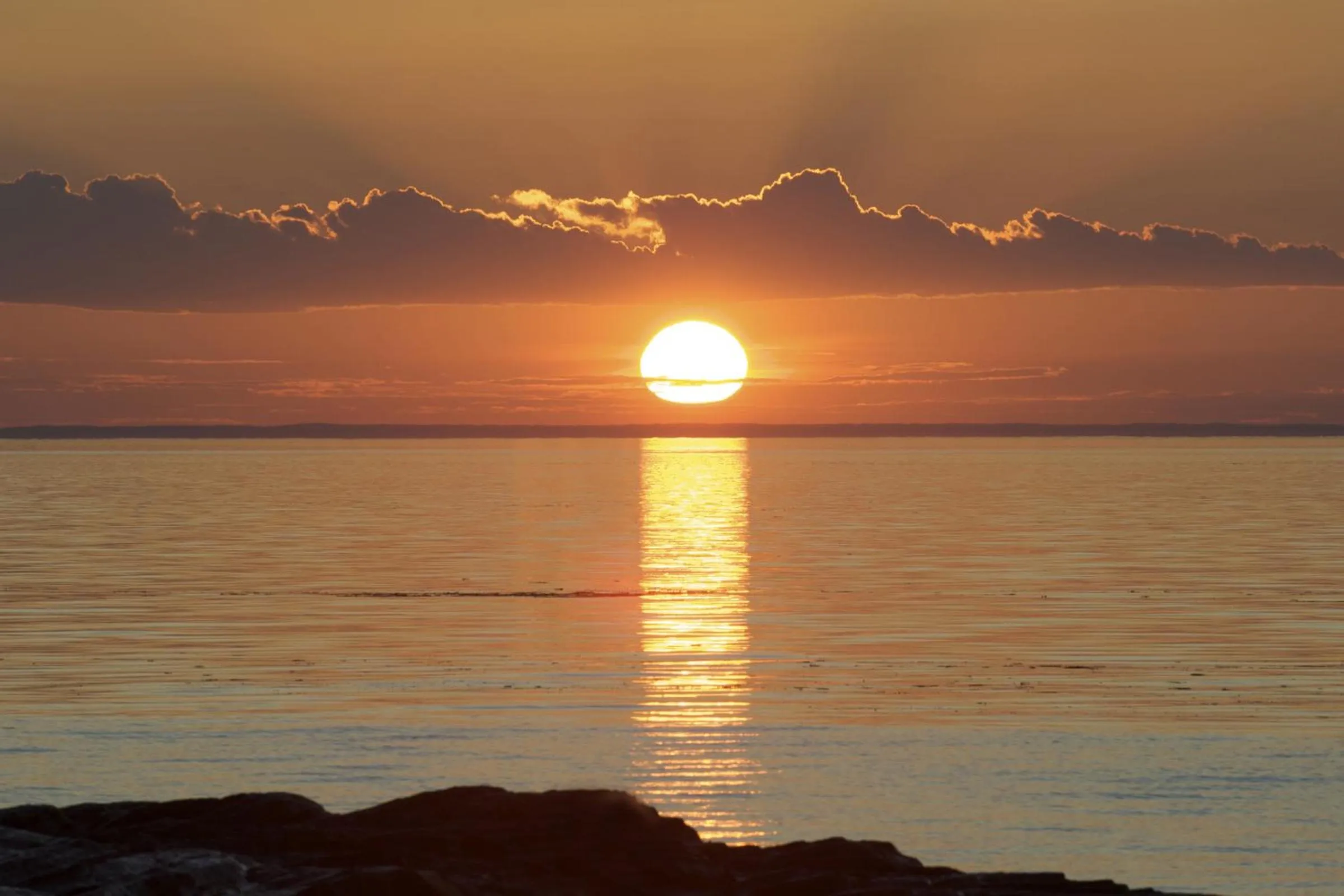 View (from property/room) in Hotel Motel Belle Plage