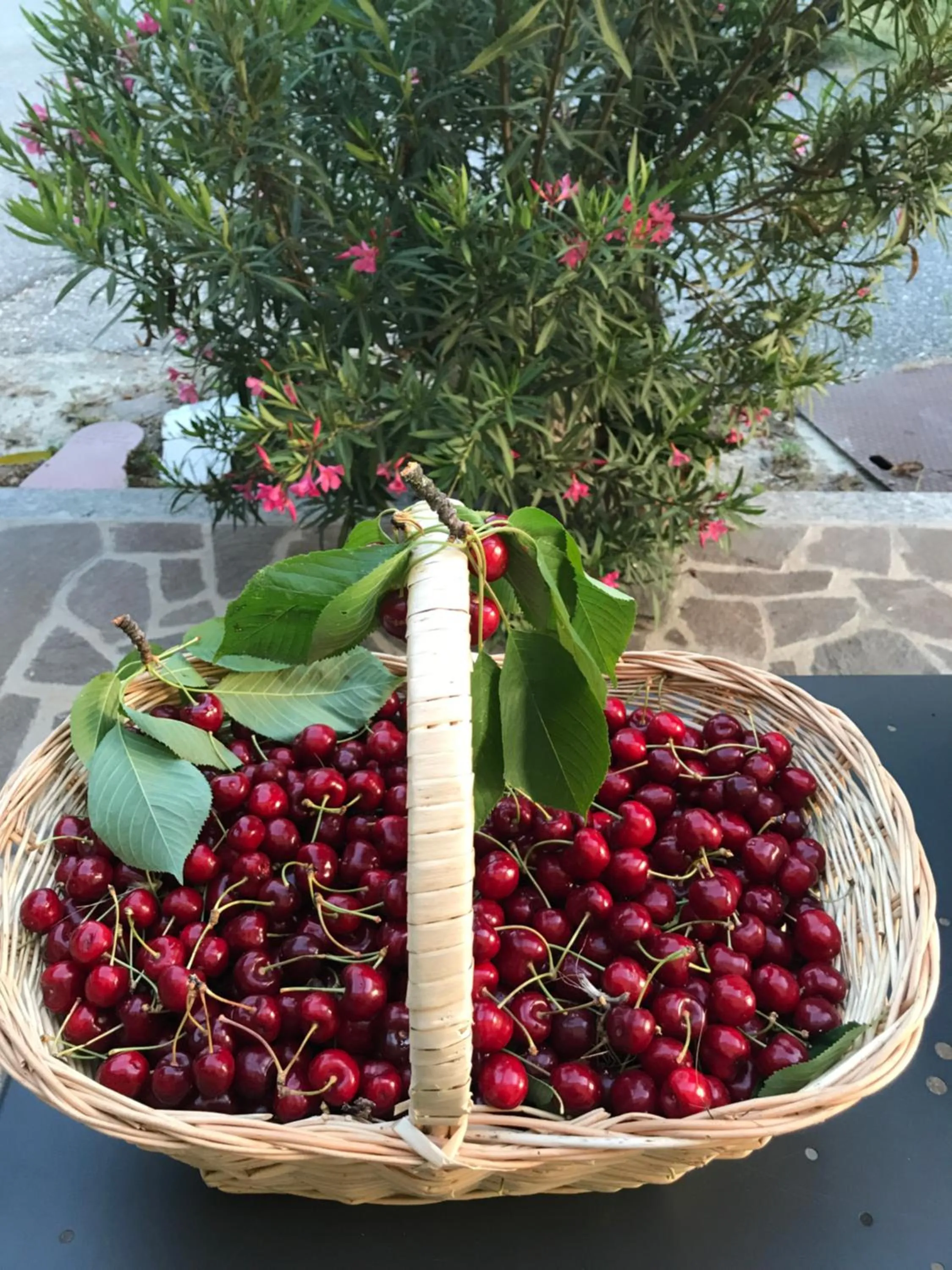 La casa tra i vigneti