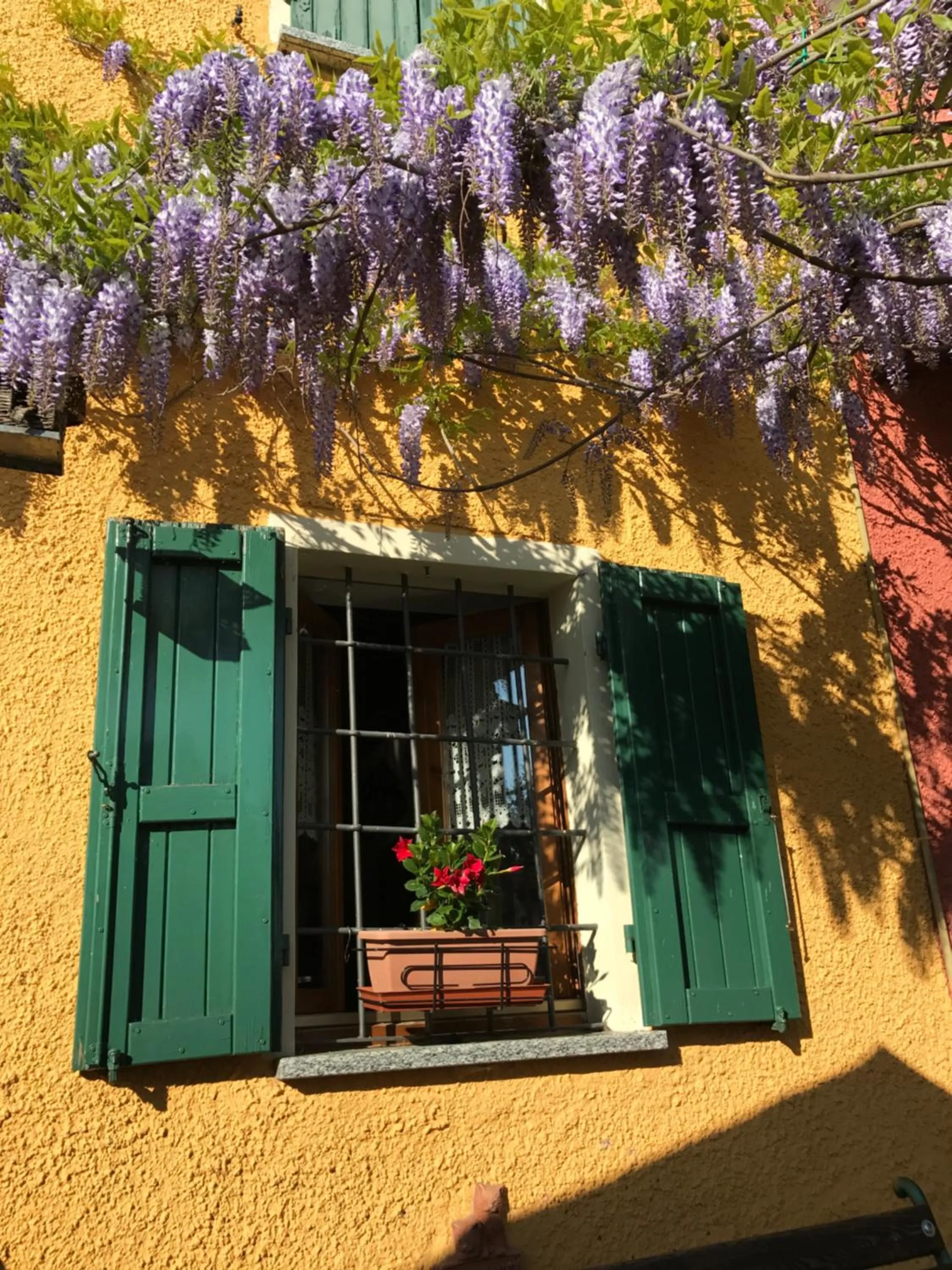 Garden view in La casa tra i vigneti