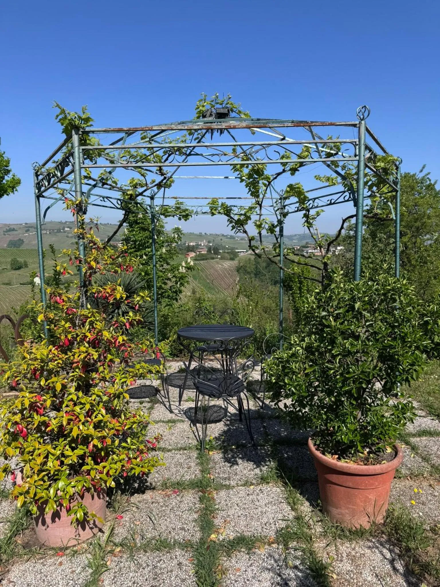 La casa tra i vigneti