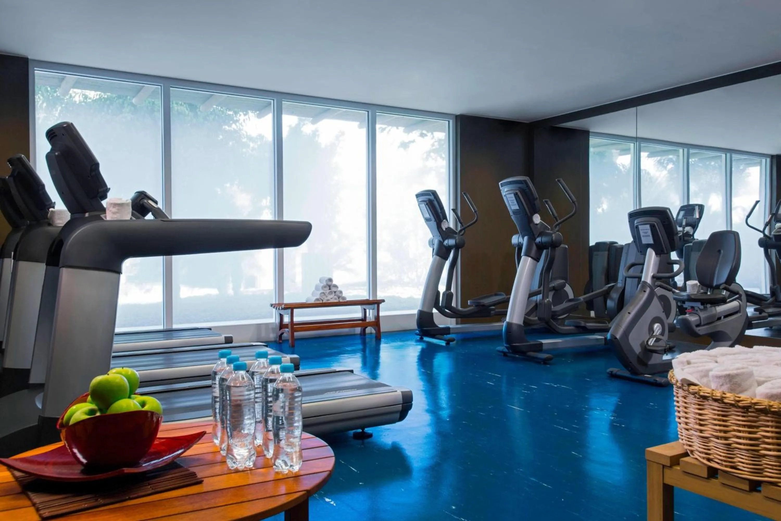 Fitness centre/facilities in Hotel Paracas, a Luxury Collection Resort, Paracas
