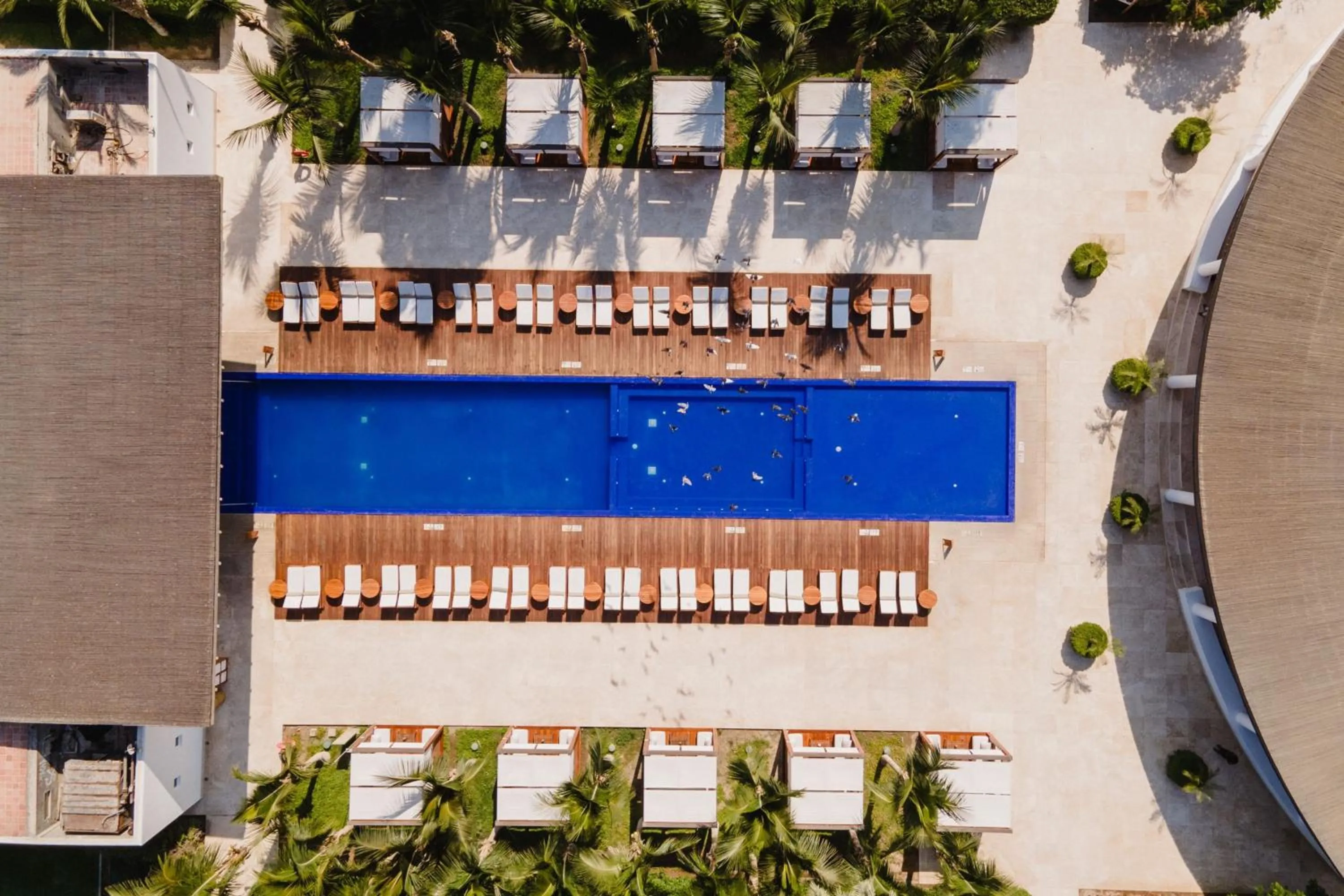 Swimming pool in Hotel Paracas, a Luxury Collection Resort, Paracas