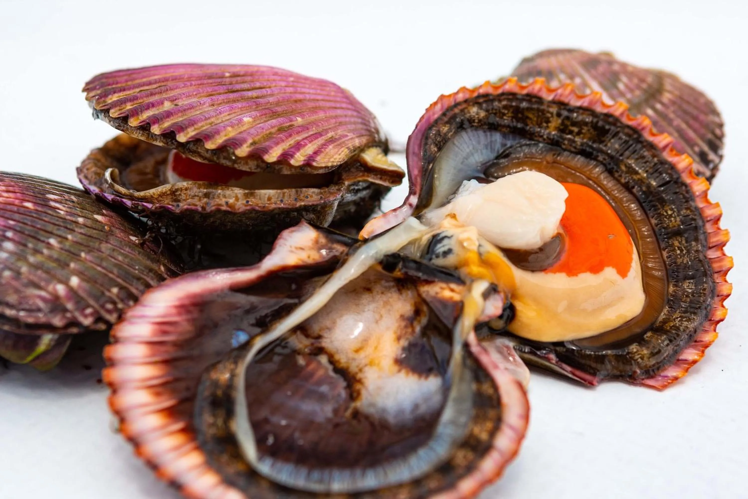 Restaurant/places to eat in Hotel Paracas, a Luxury Collection Resort, Paracas