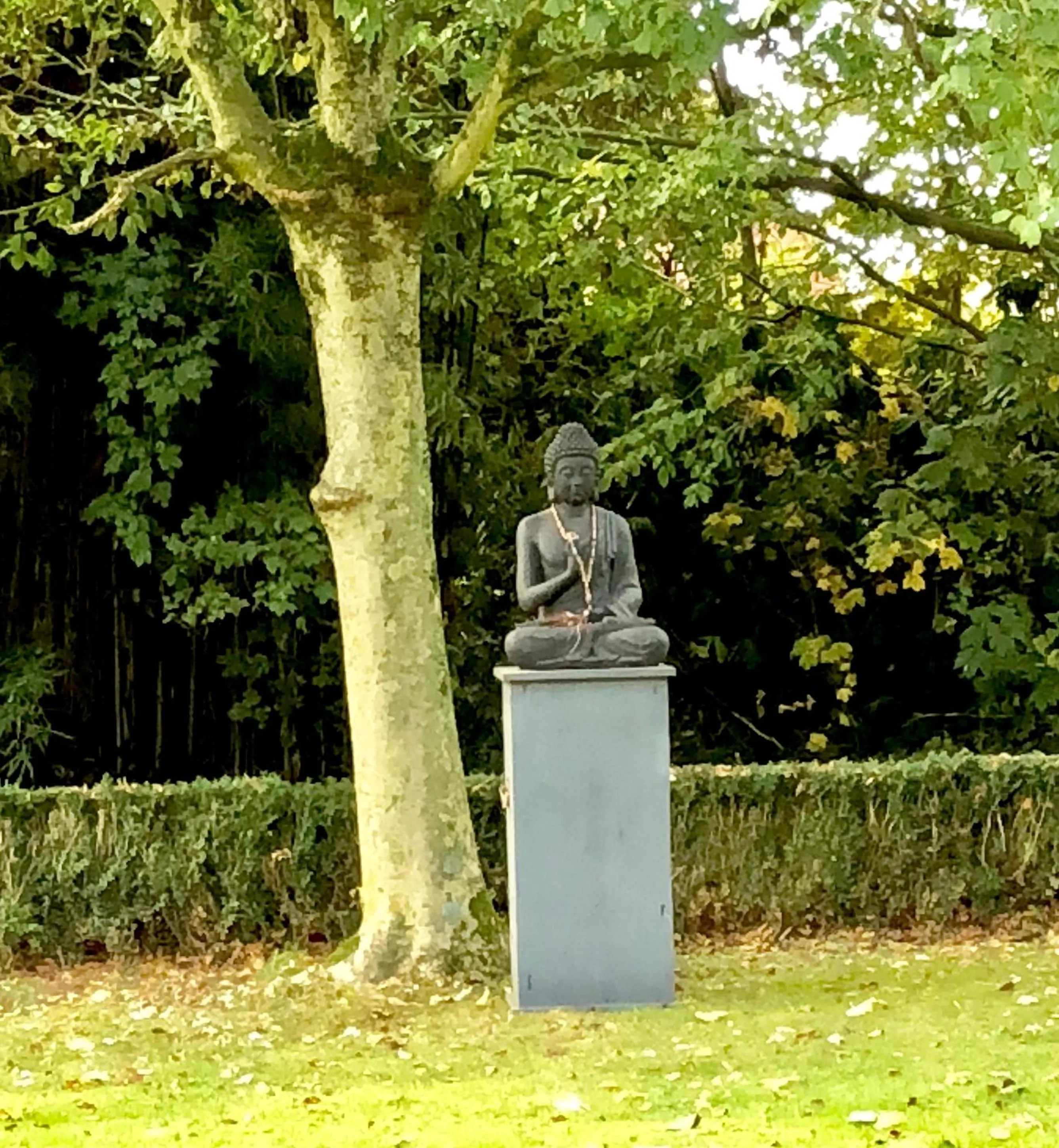 Garden in Charmehotel Manoir Ogygia