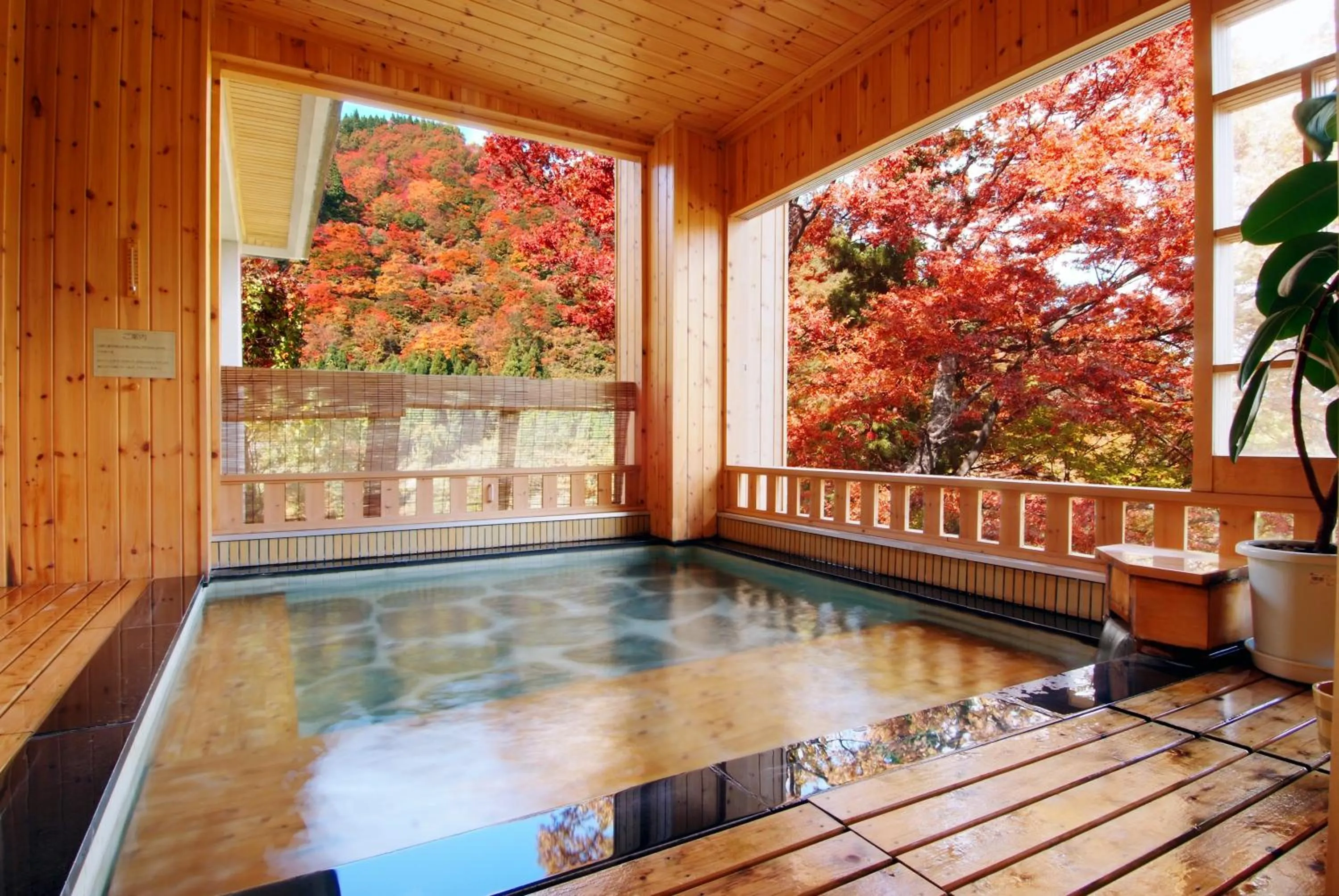 Hot Spring Bath in Takahan
