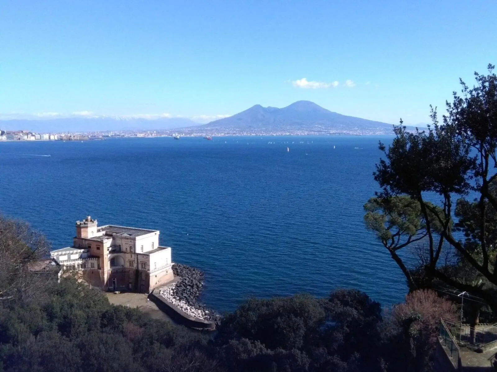 Logo/Certificate/Sign in B&B Monserrato