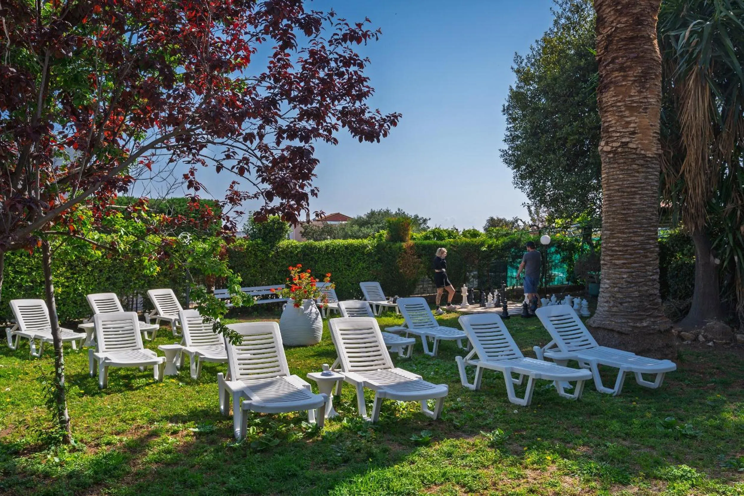 Garden in Pantheon Hotel
