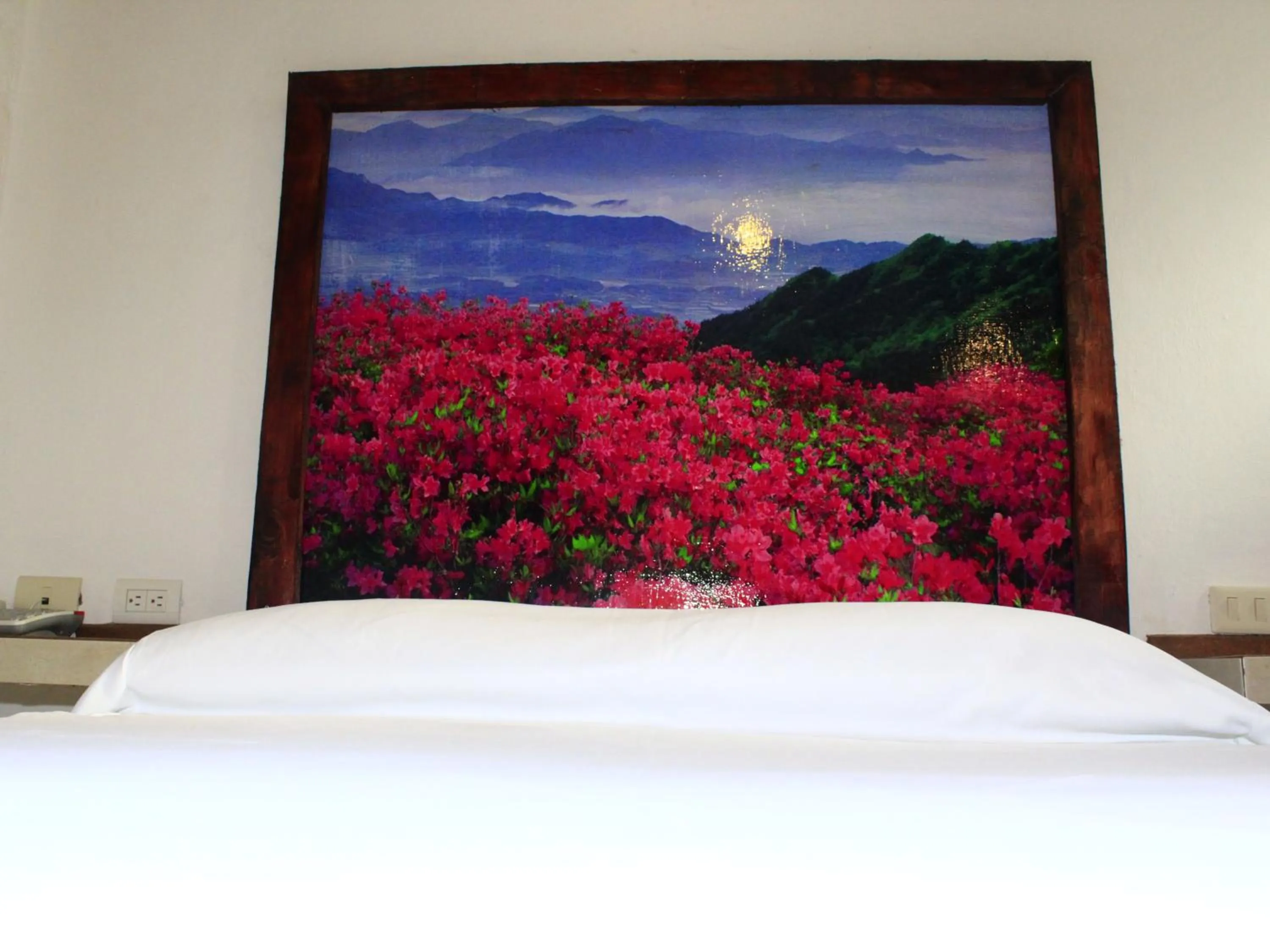 Bed in Hotel Atzalan