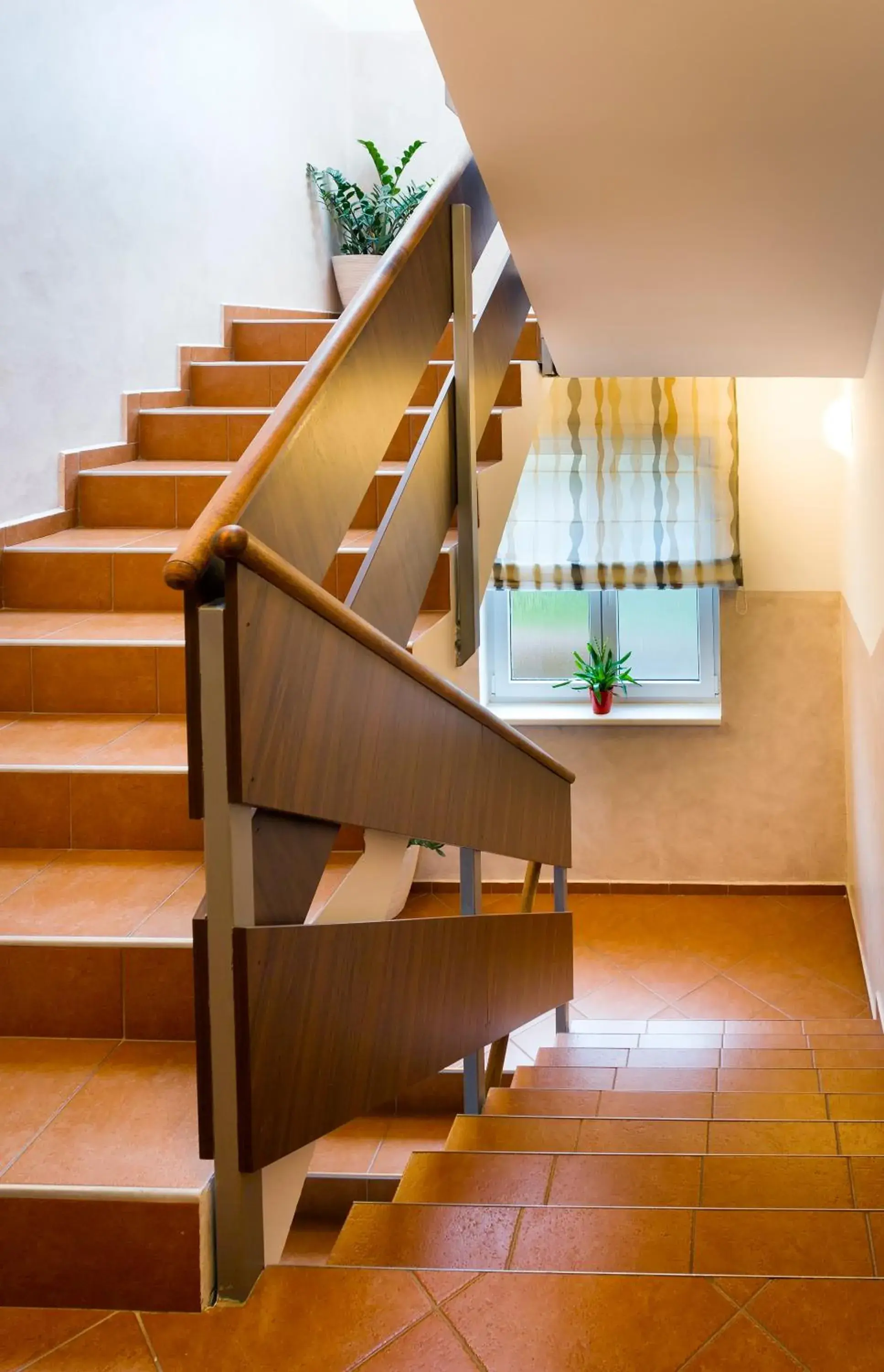 Single Room in No 28 Rooms & Apartments Single Room in No 28 Rooms & Apartments