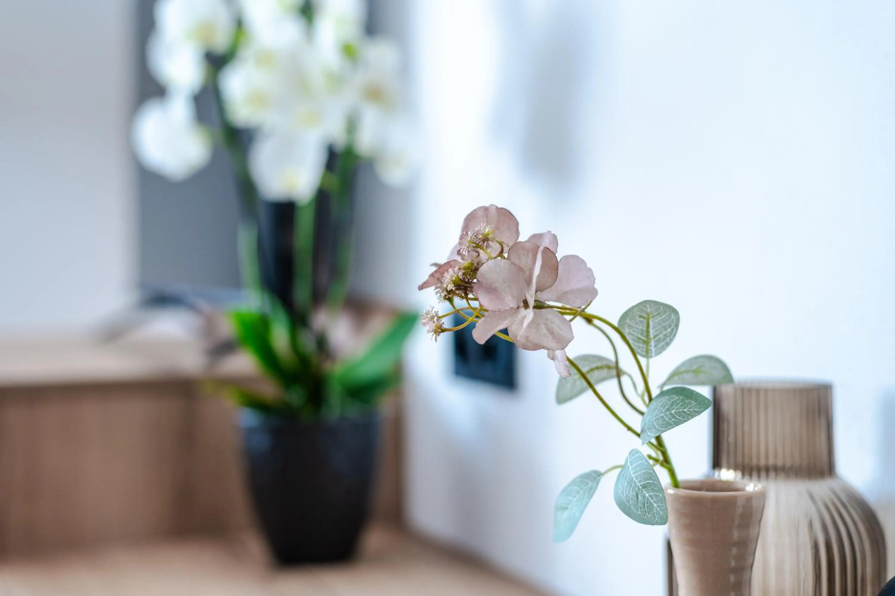 No 28 Rooms & Apartments