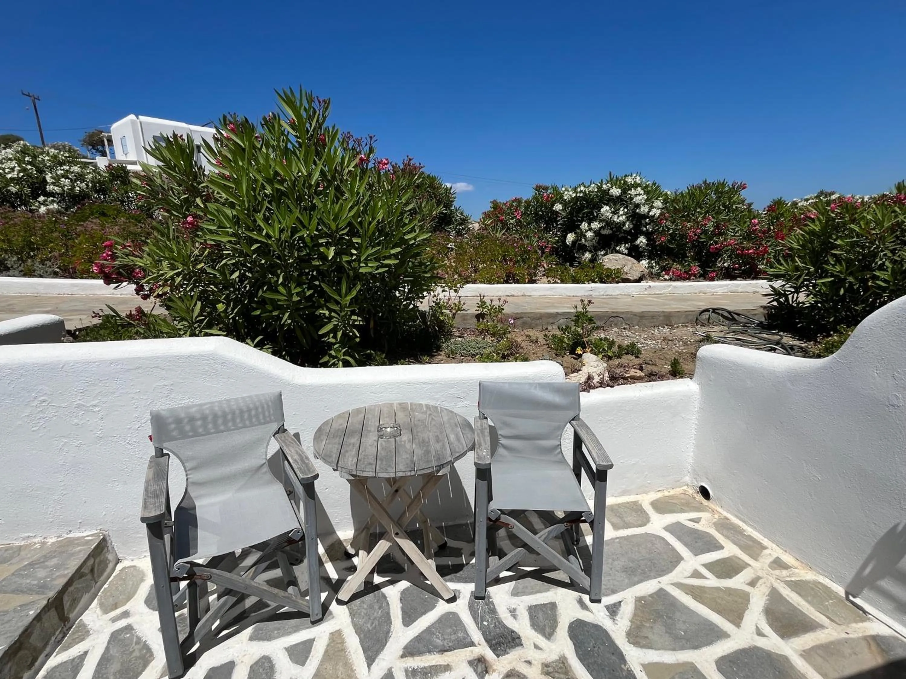 Garden view in Villa Margarita