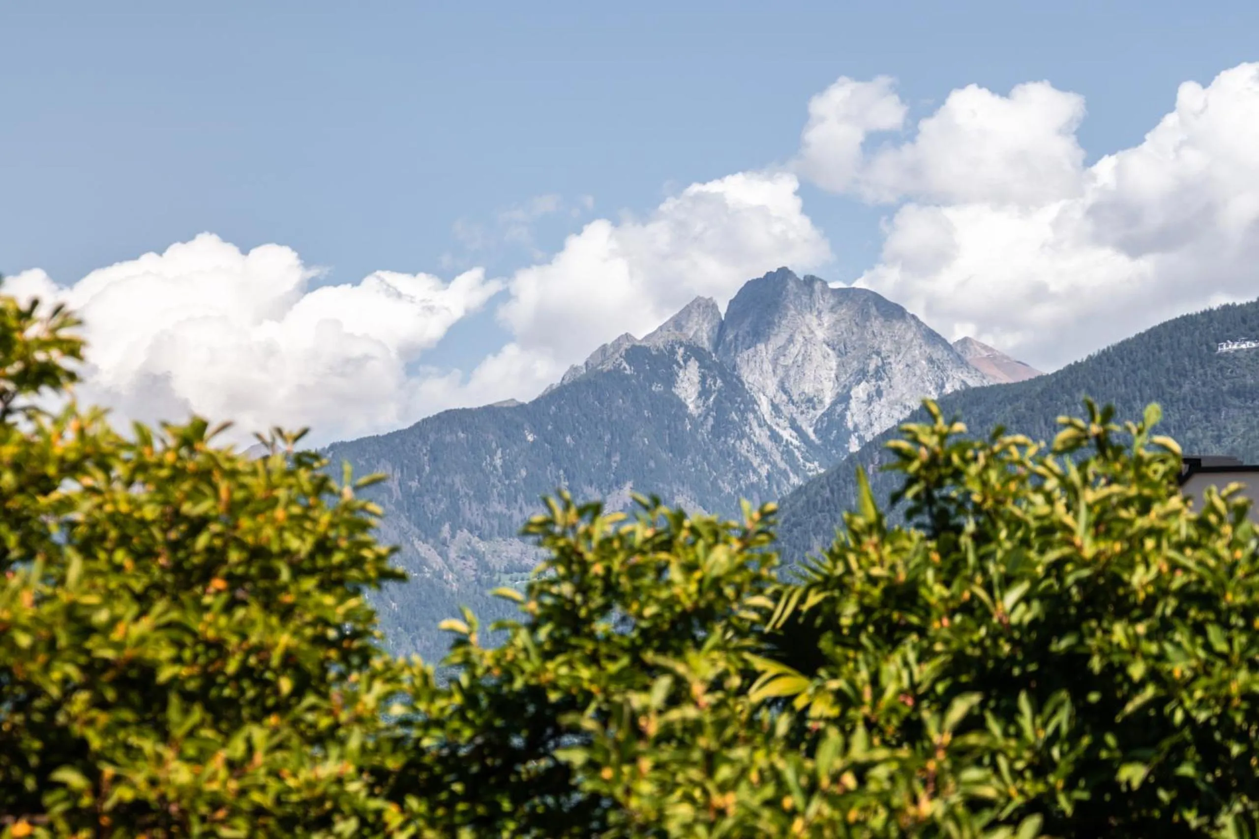 Mountain view in goldfinger + suites