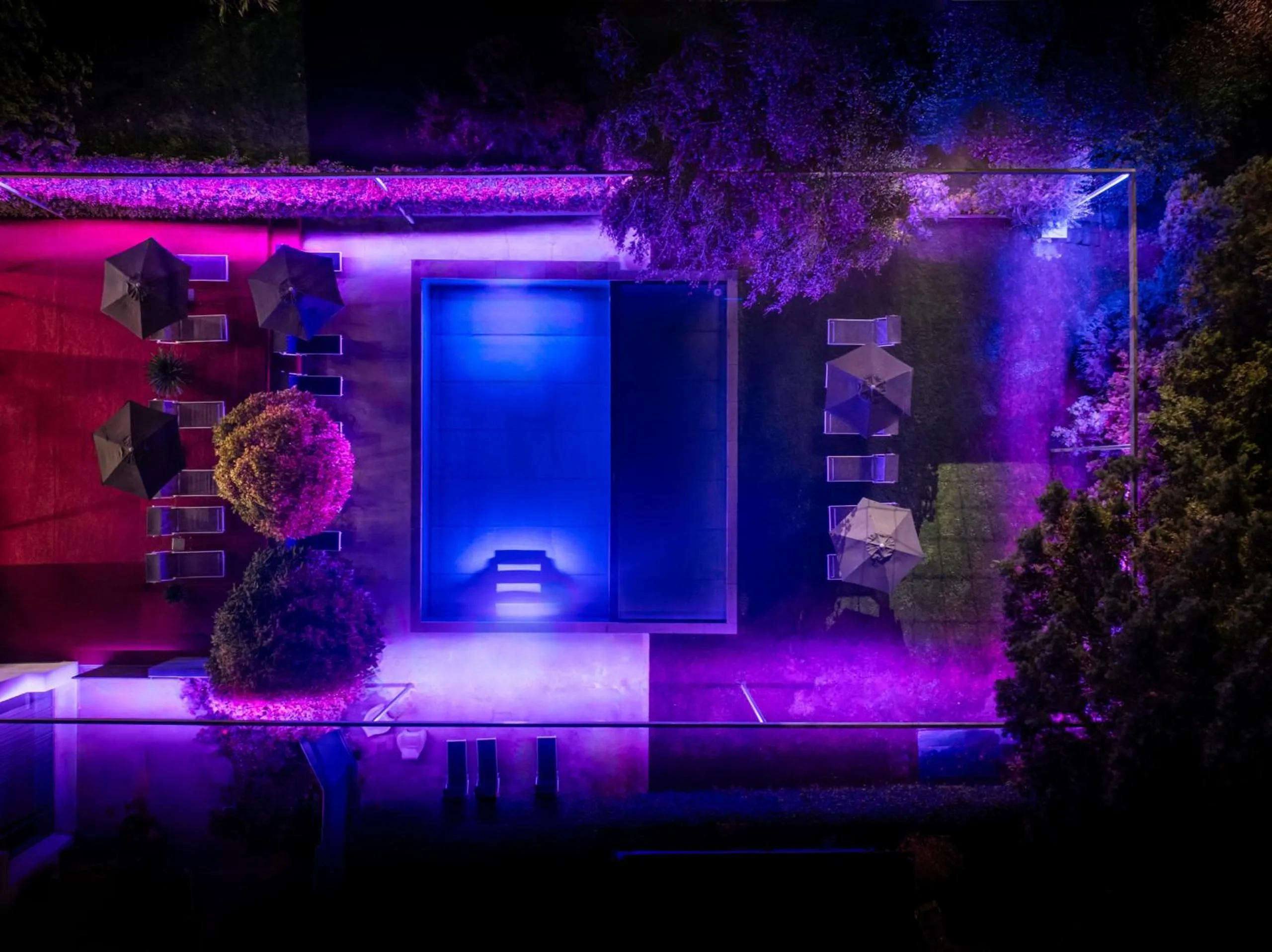 Night in goldfinger + suites