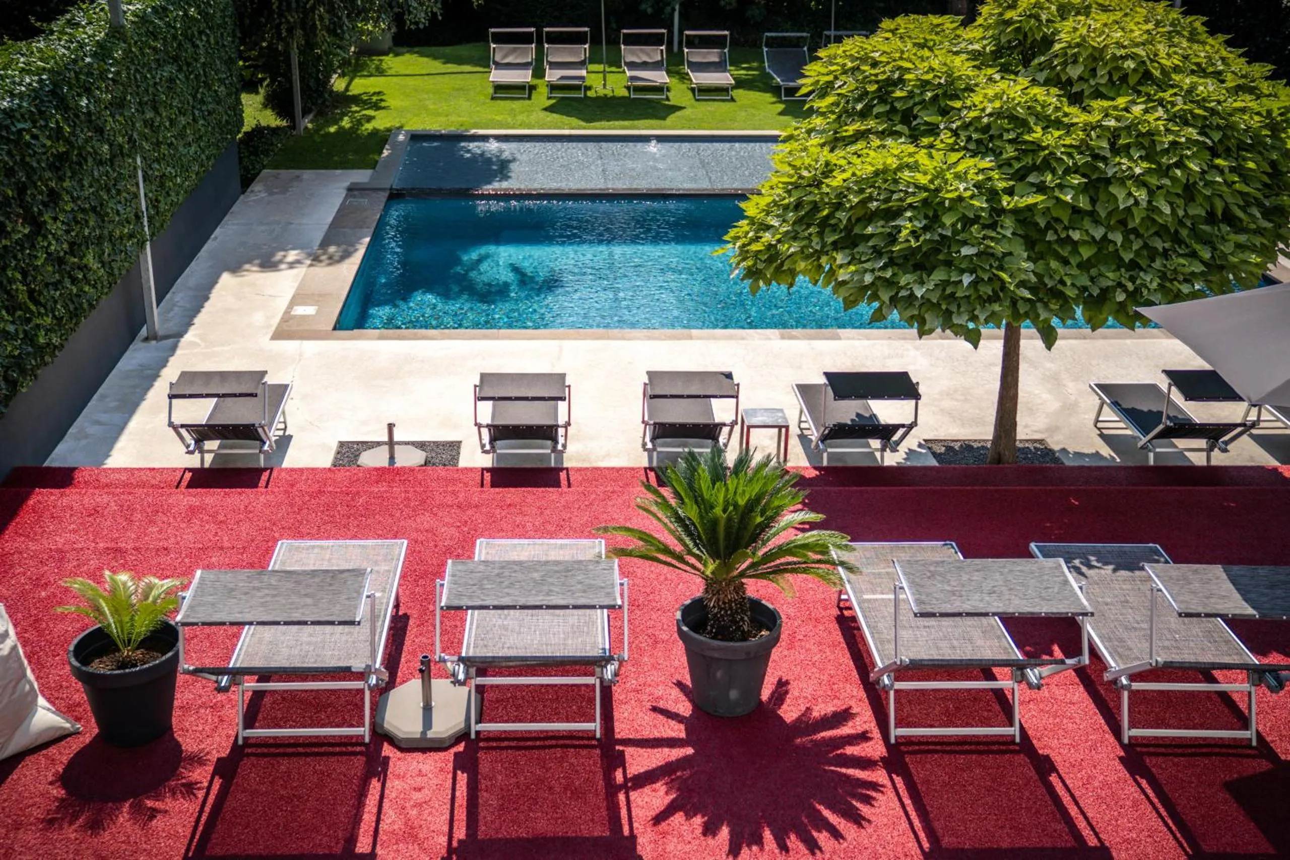 Garden in goldfinger + suites