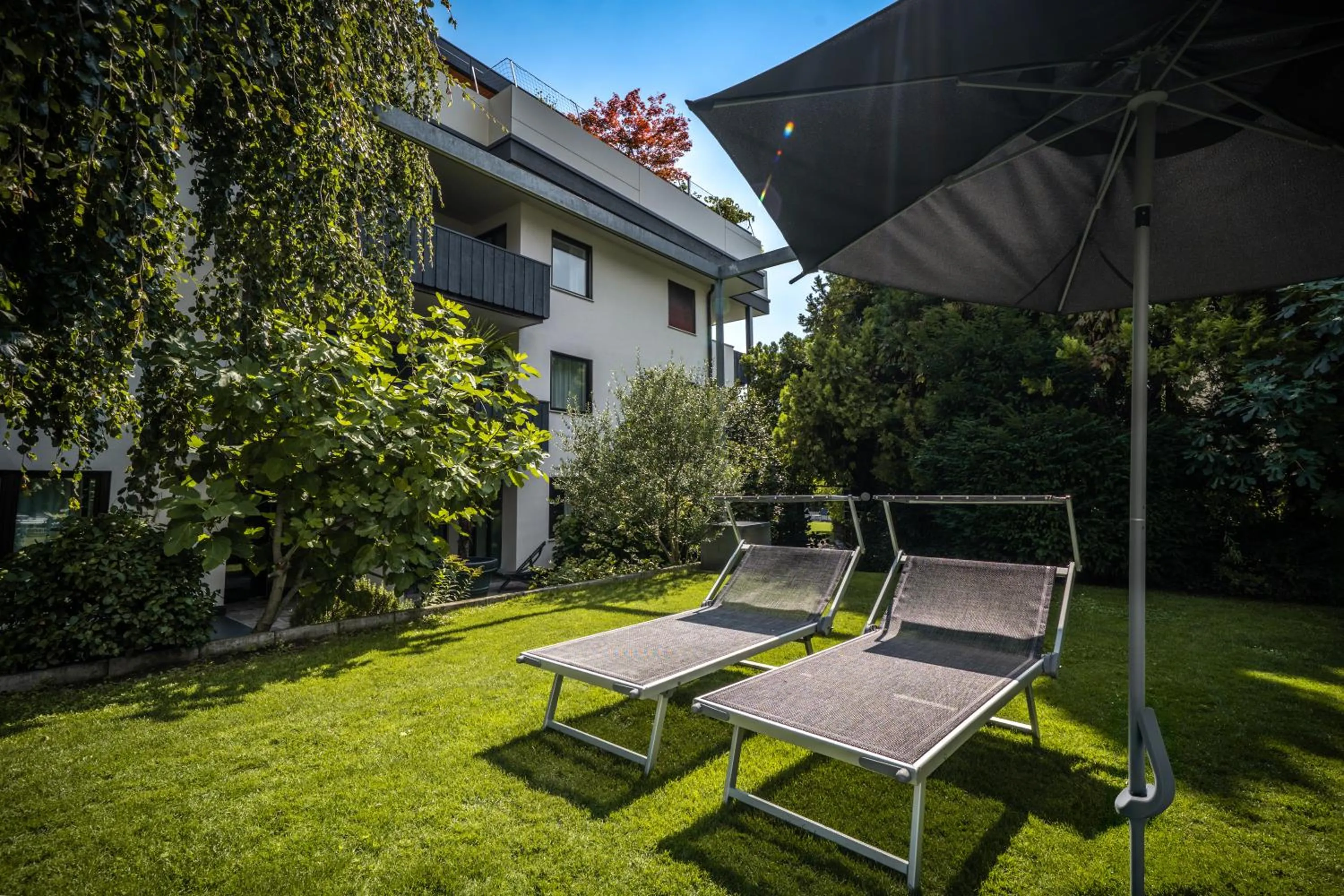 Garden in goldfinger + suites