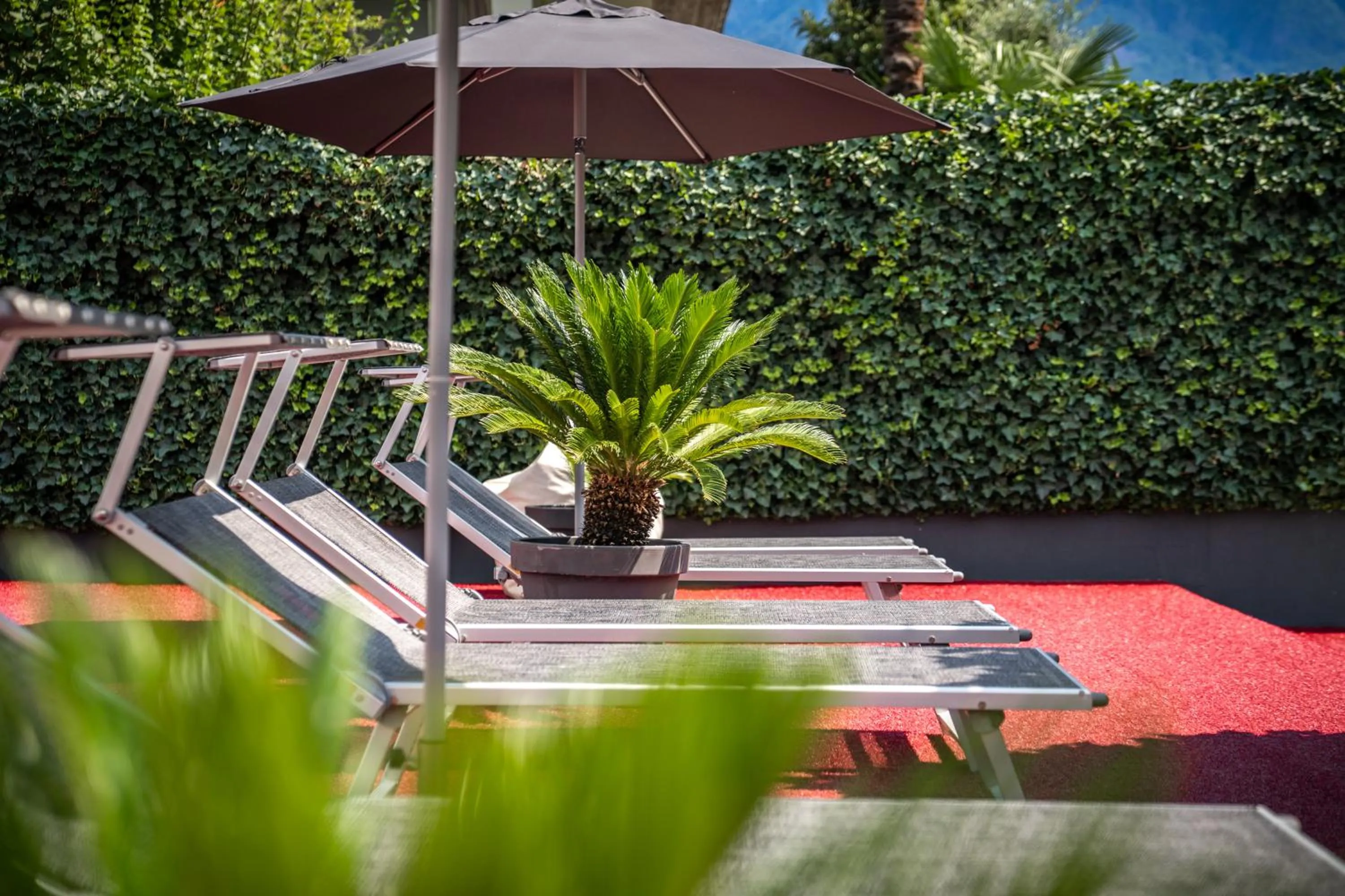 Garden in goldfinger + suites