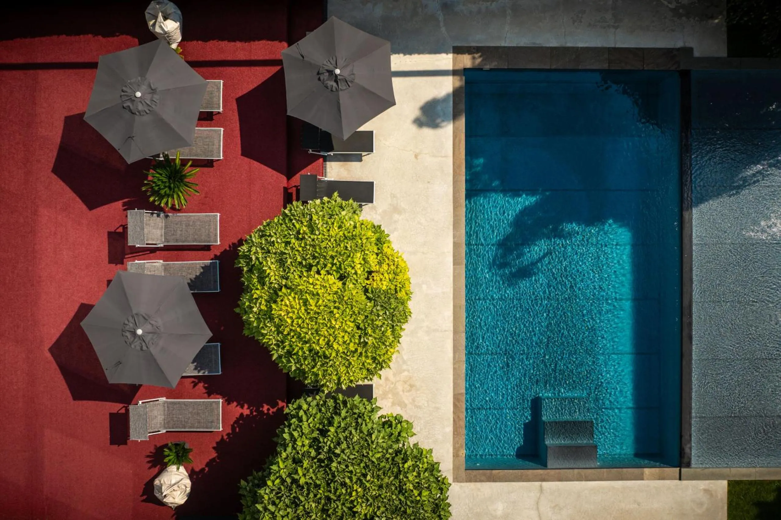 Swimming pool in goldfinger + suites