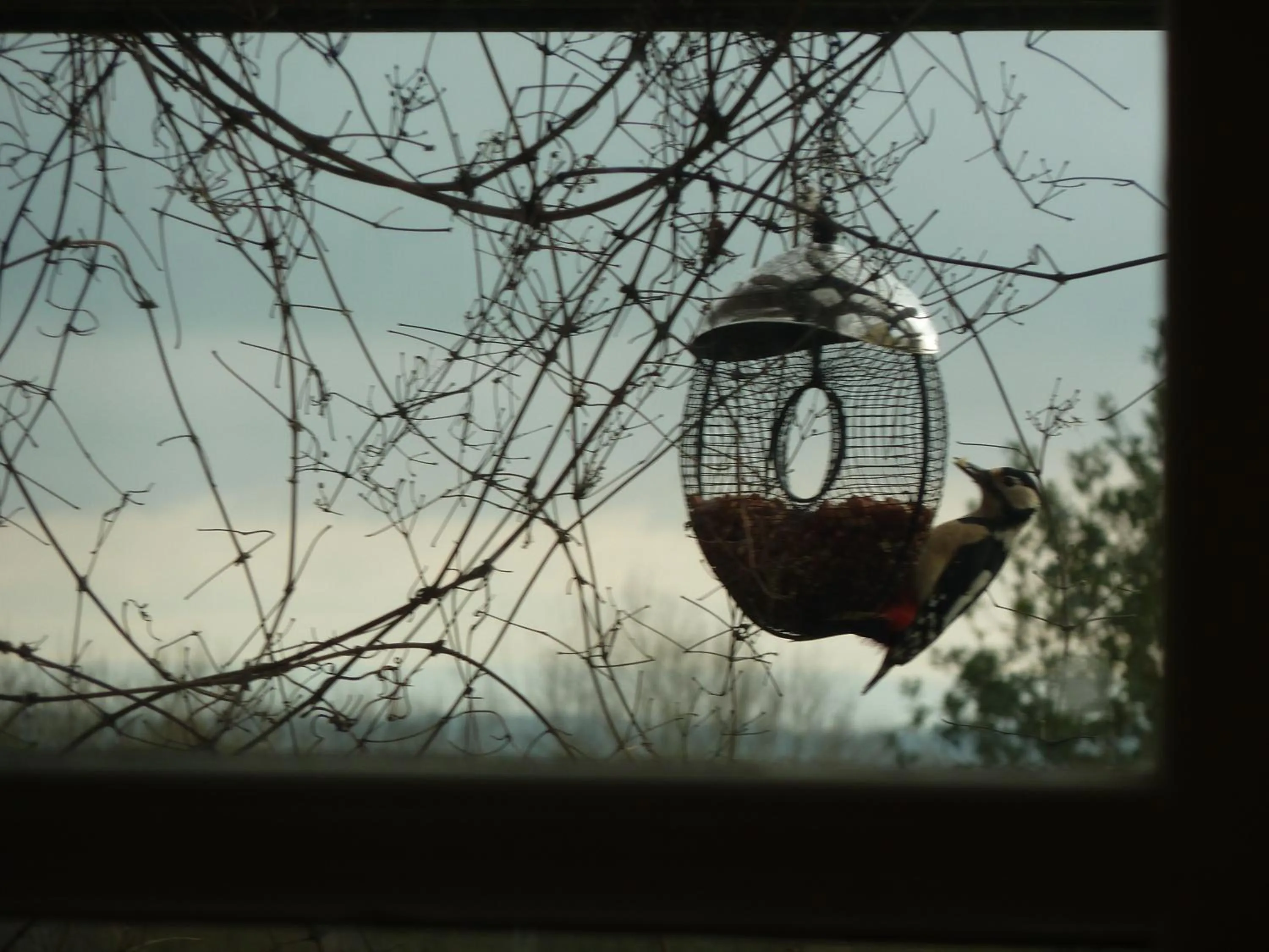 Property building in The Lodge, at Orchard Cottage