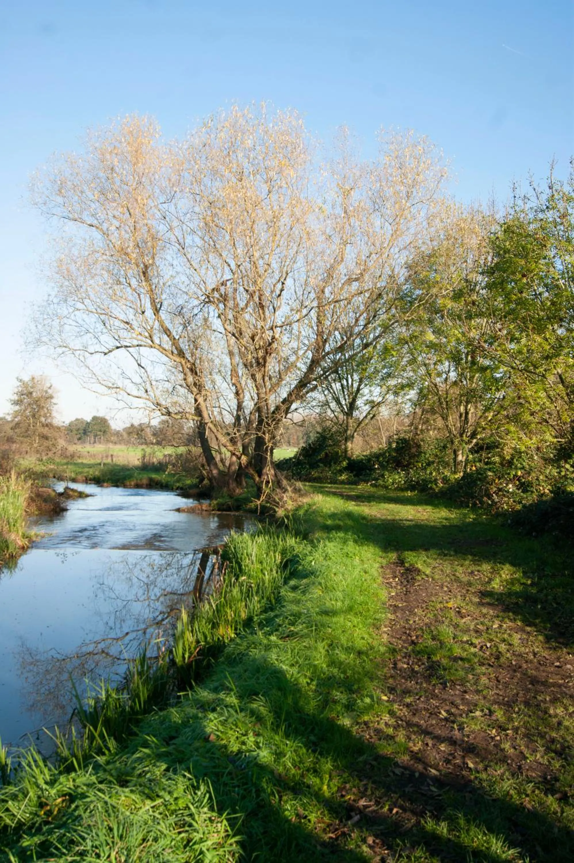 Neighbourhood in Op d'n Stolberg