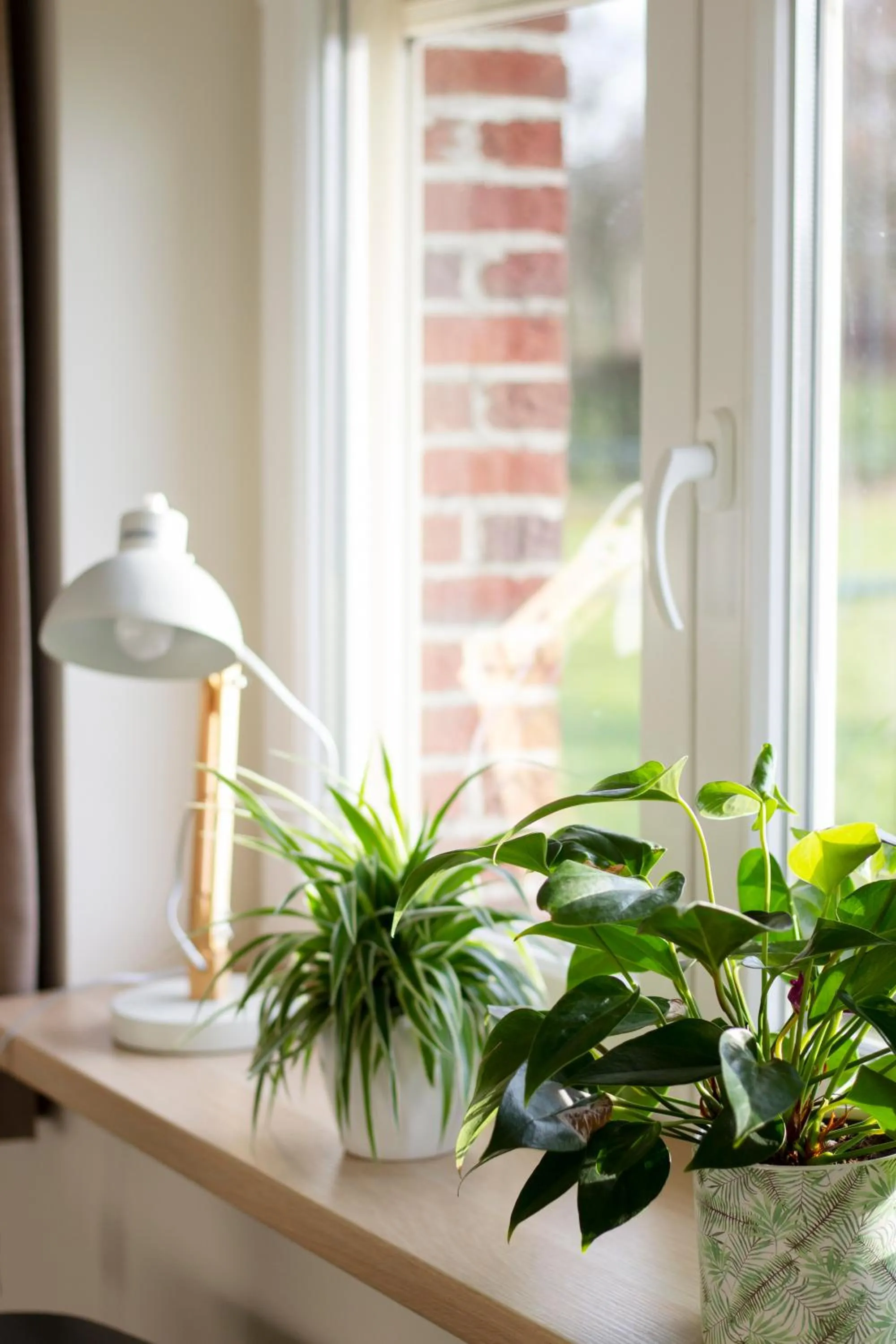 Communal lounge/ TV room in Op d'n Stolberg