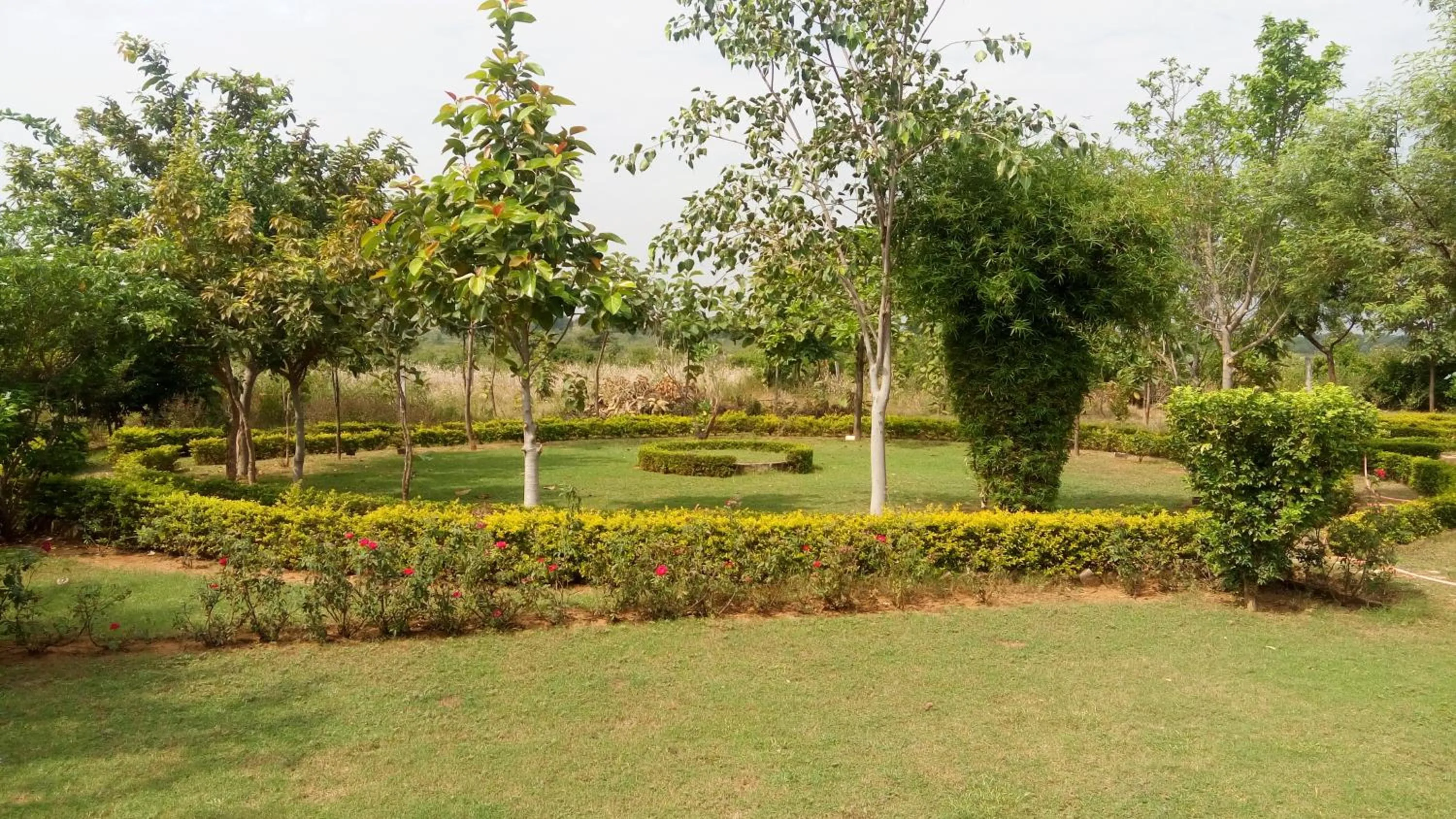 Garden in An Authentic Village Farm