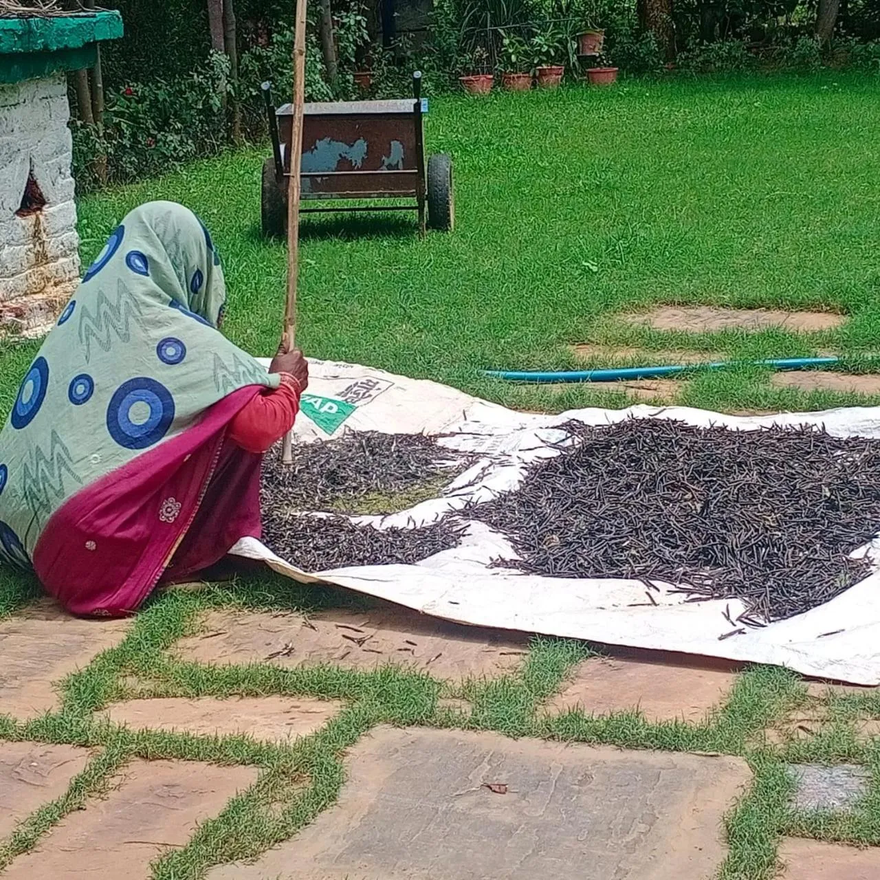 Food in An Authentic Village Farm