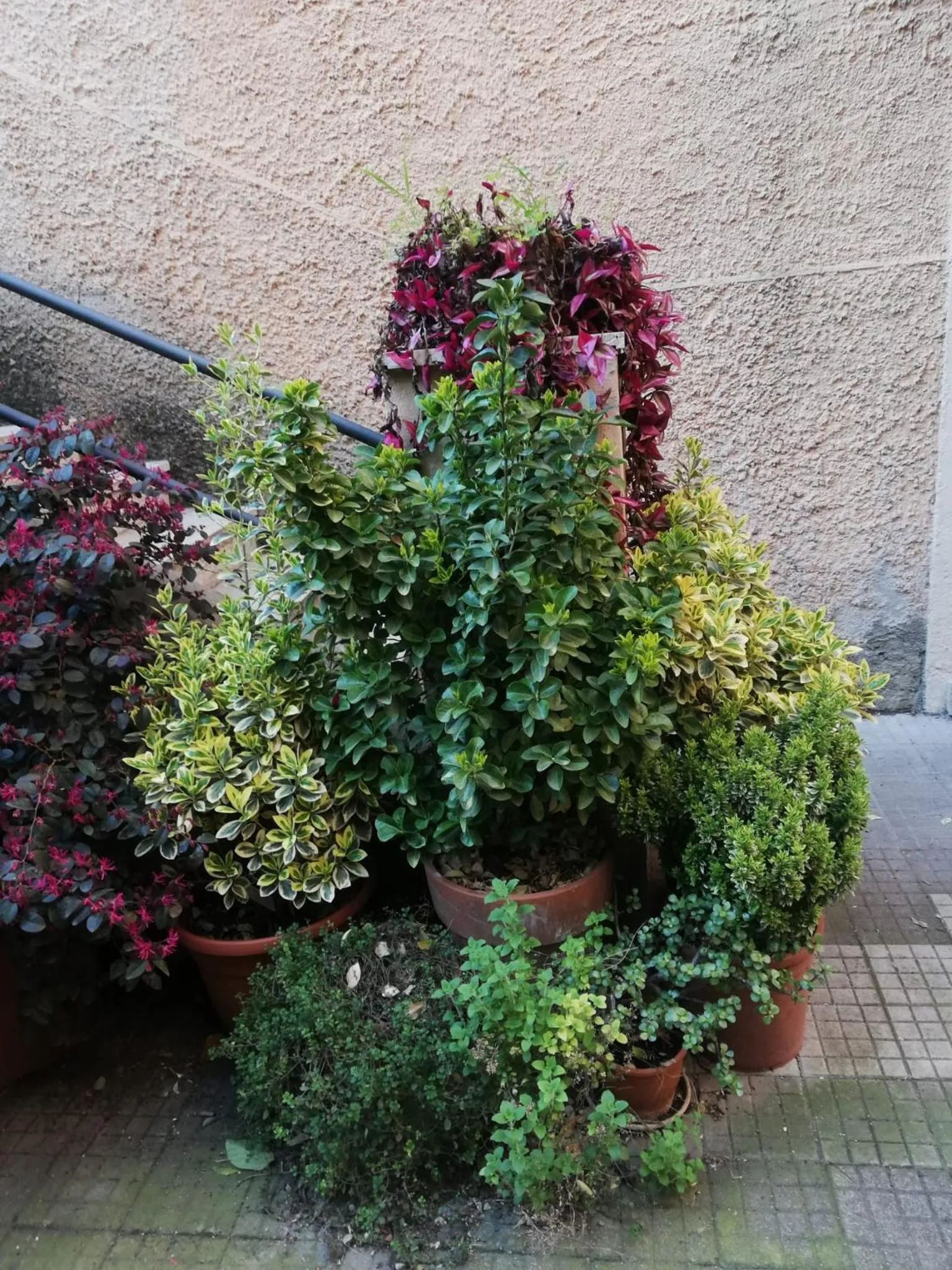 Tra Gianicolo e Trastevere