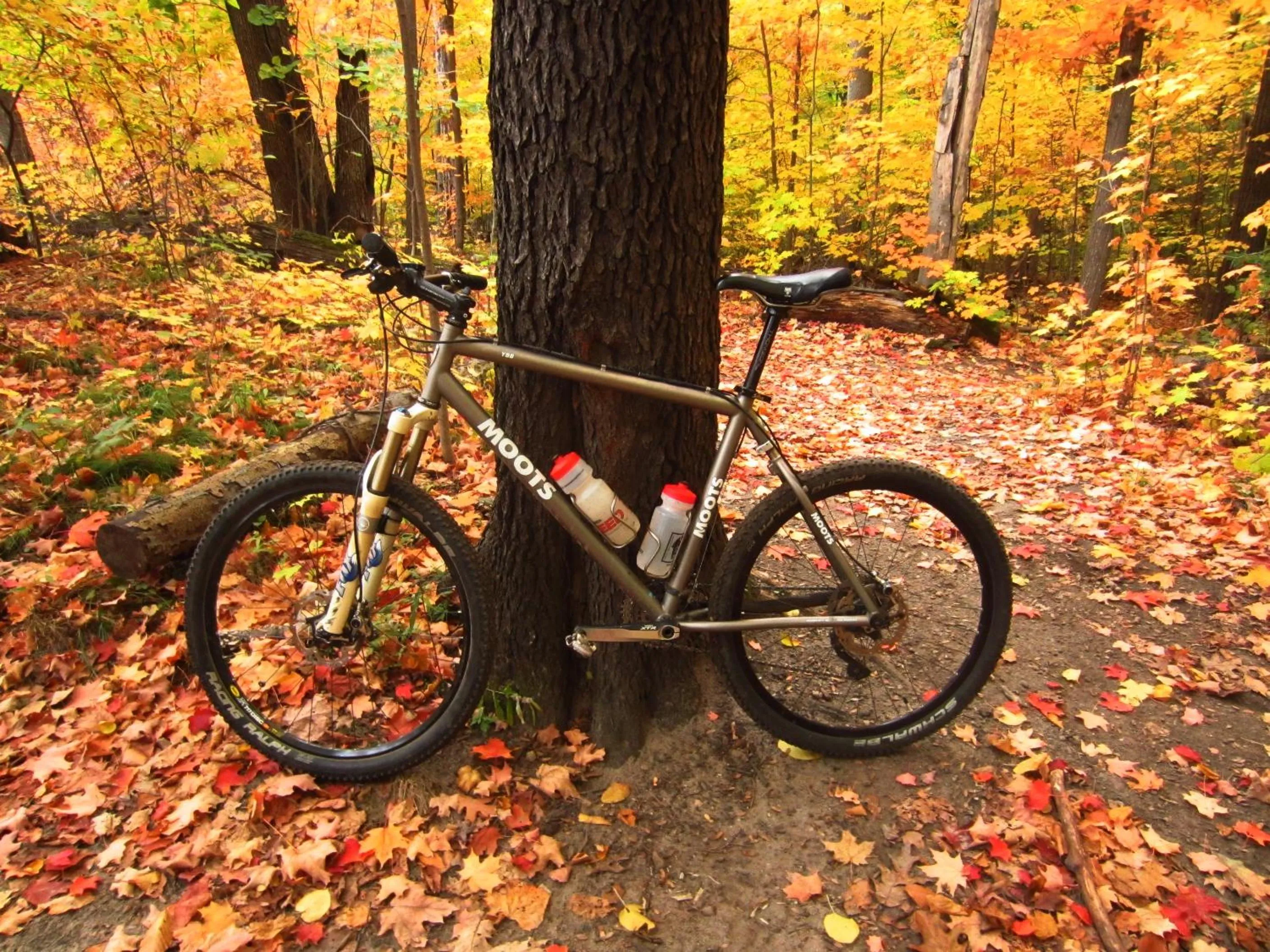 Cycling in Hotel Iris Crillon