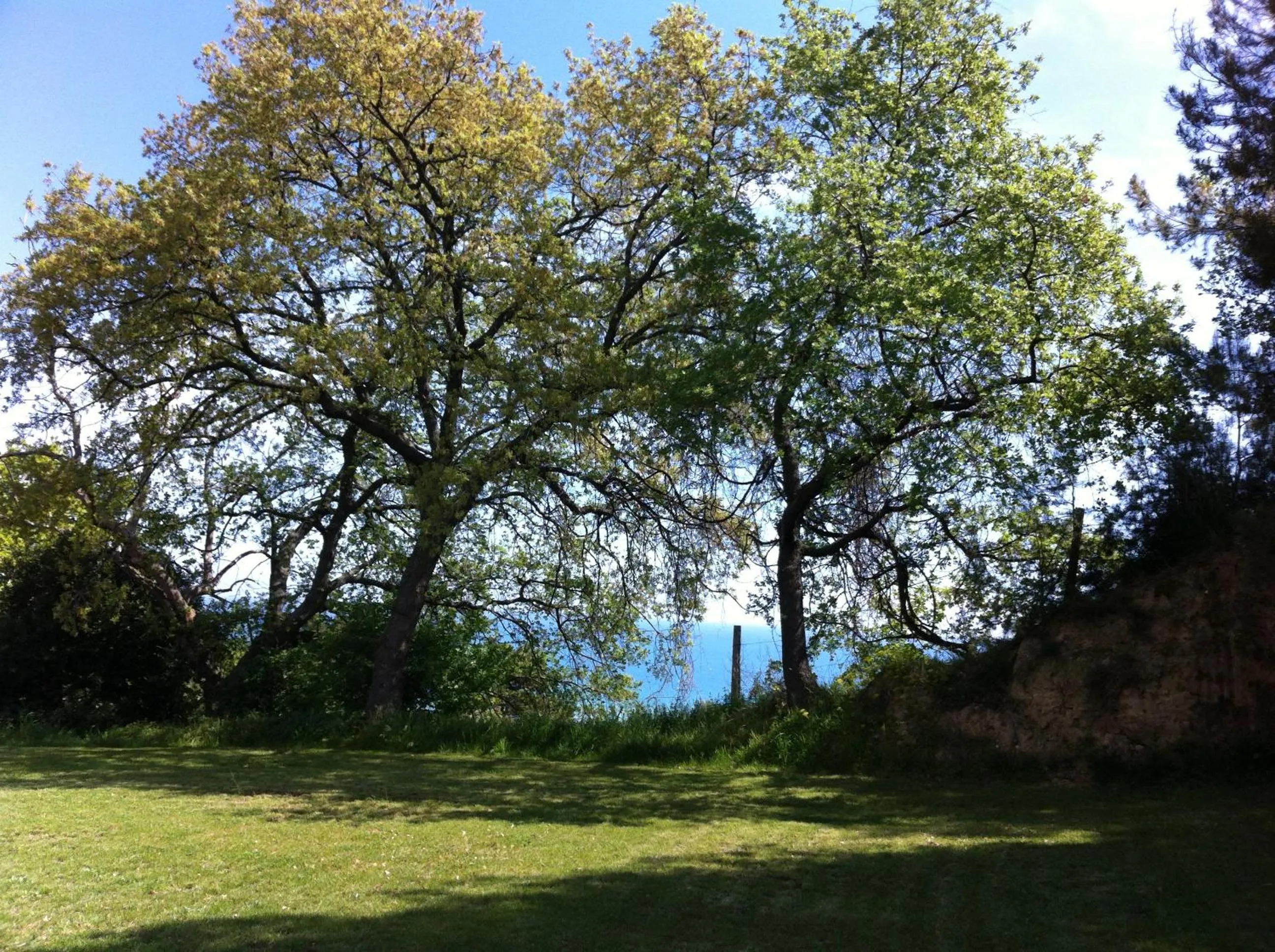 Property building in B&B La casa di g.g.