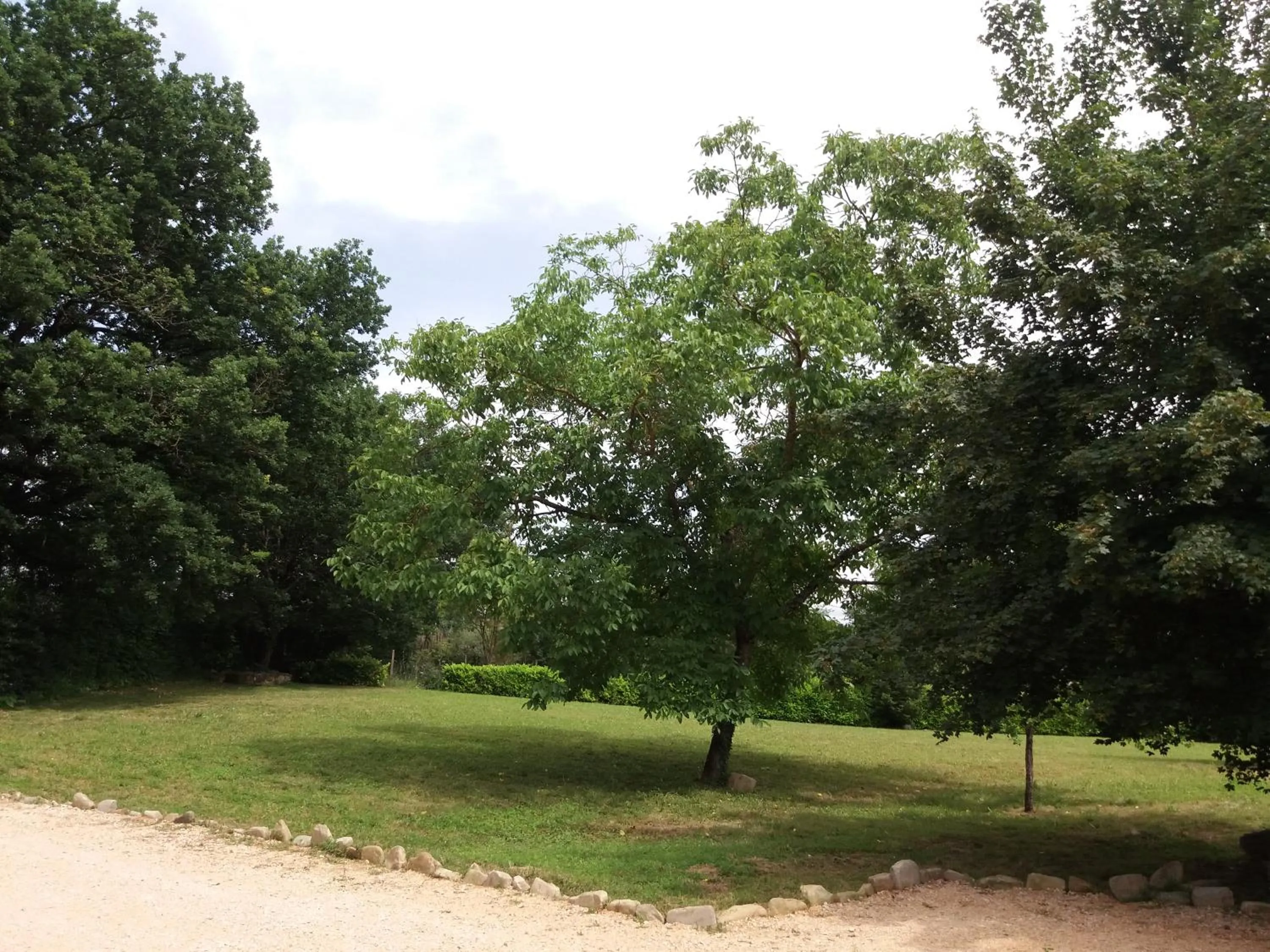 Spring in B&B Il Pittore